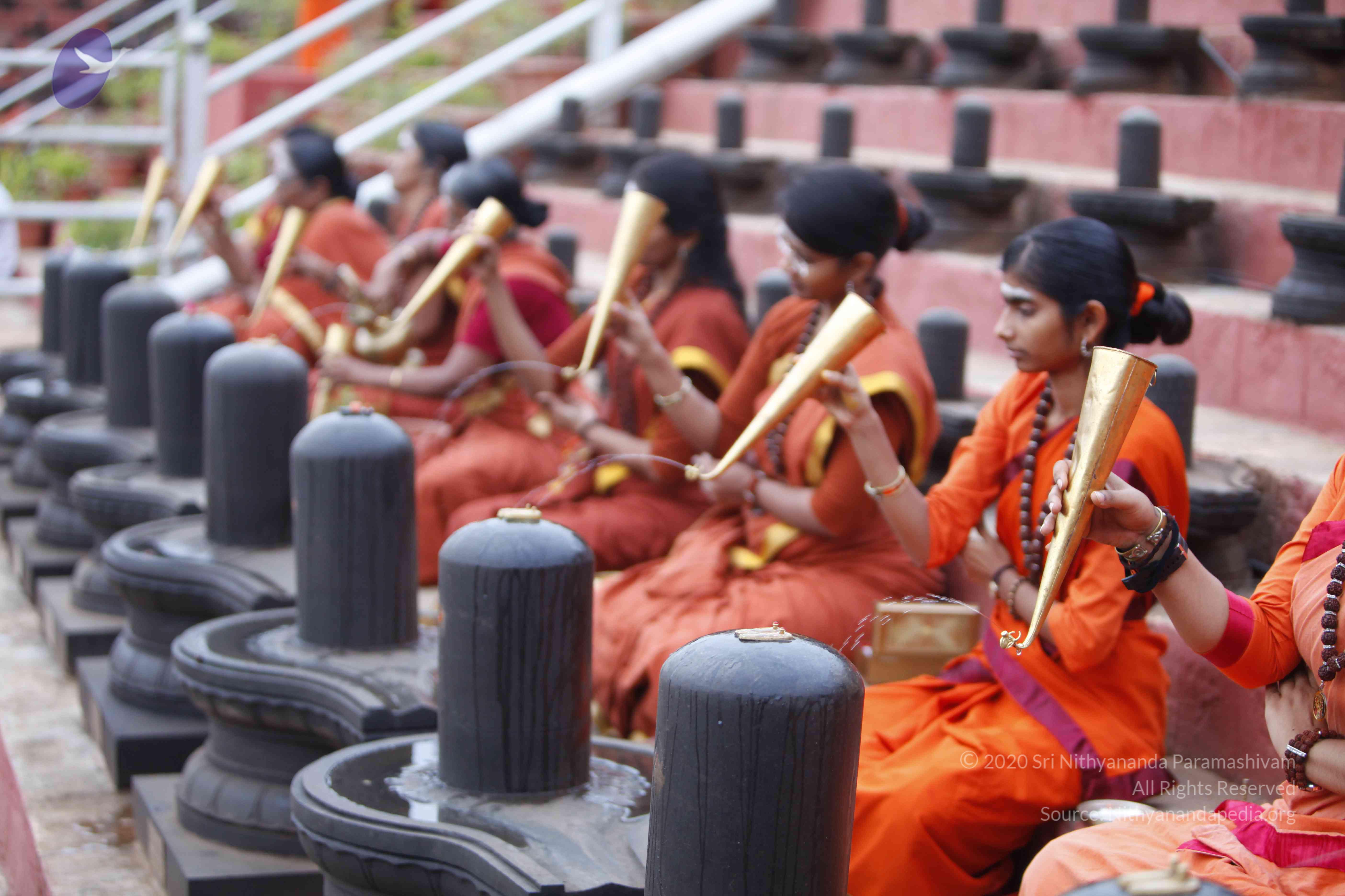 20130708_Photo_1040__MG_2317_CMP_WM