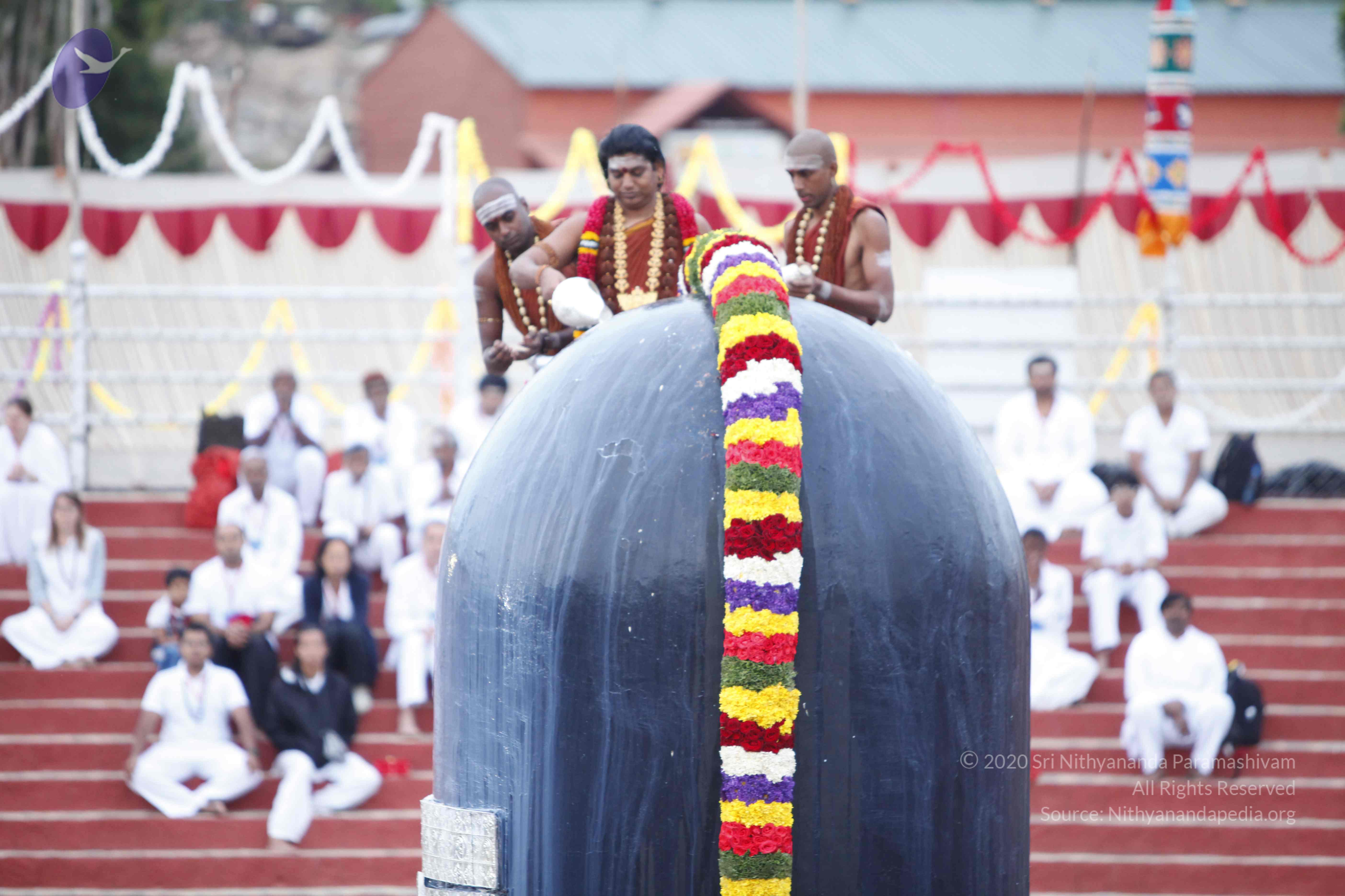 20130708_Photo_1045__MG_2306_CMP_WM