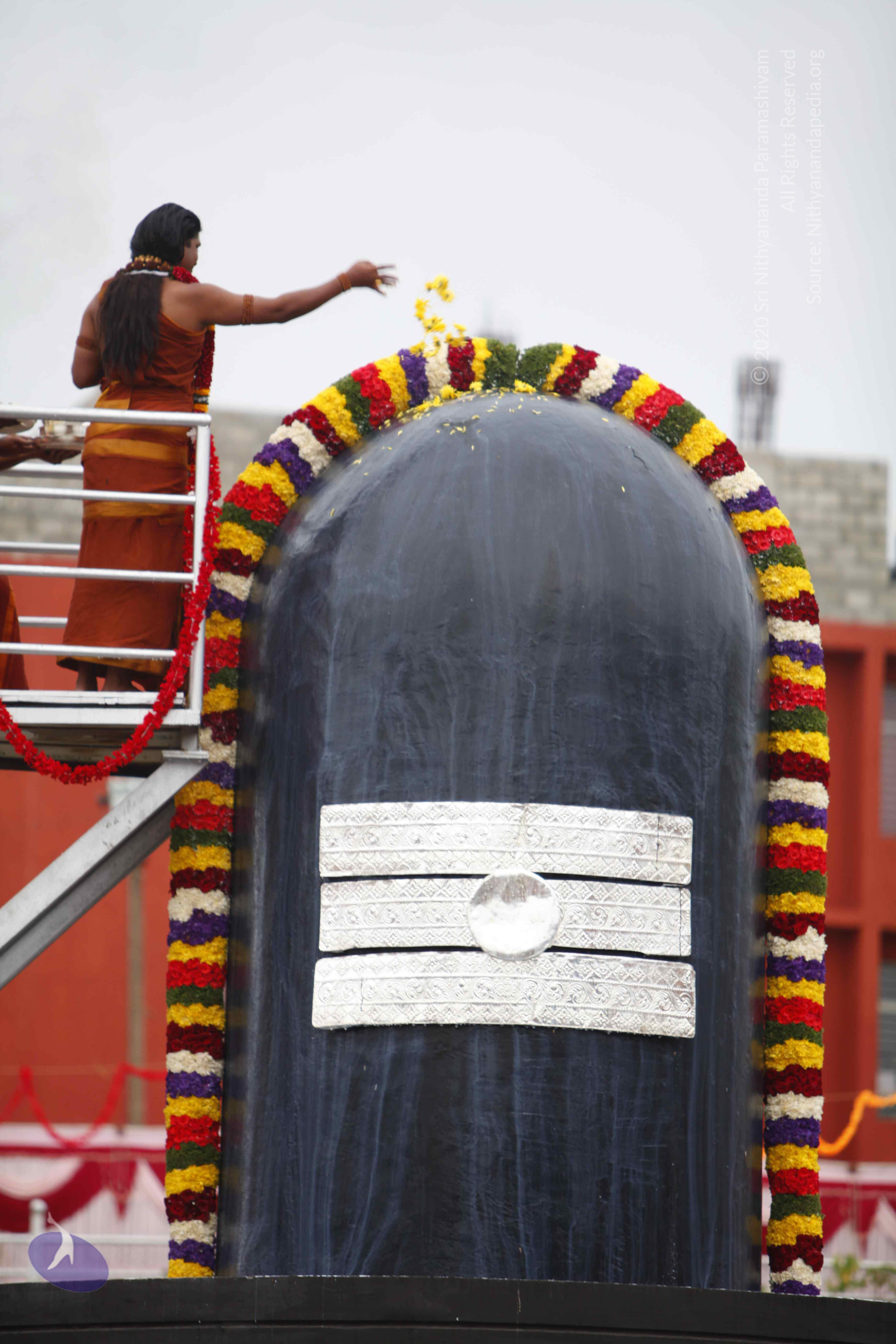 20130708_Photo_1056__MG_2362_CMP_WM