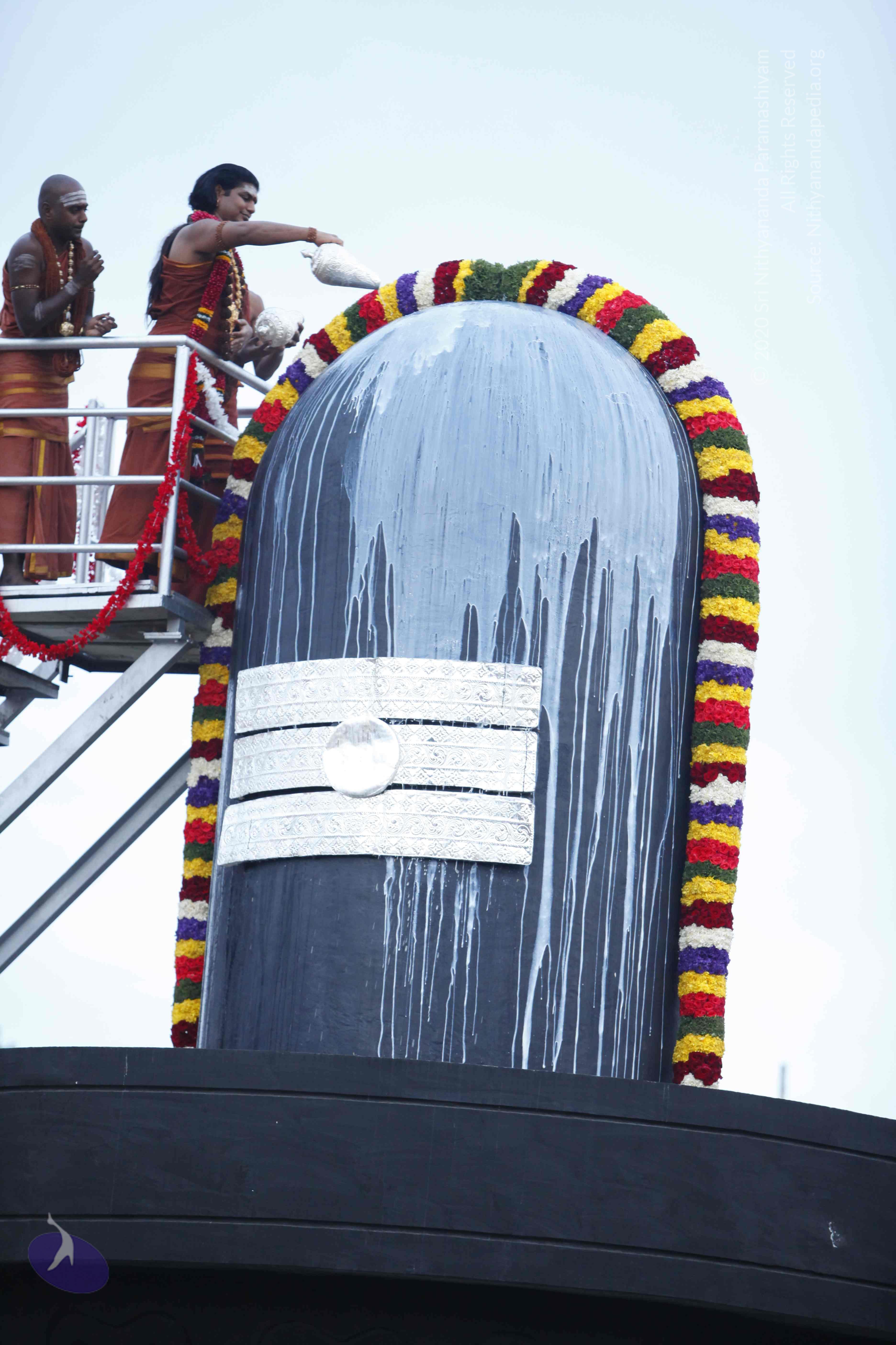 20130708_Photo_1061__MG_2284_CMP_WM