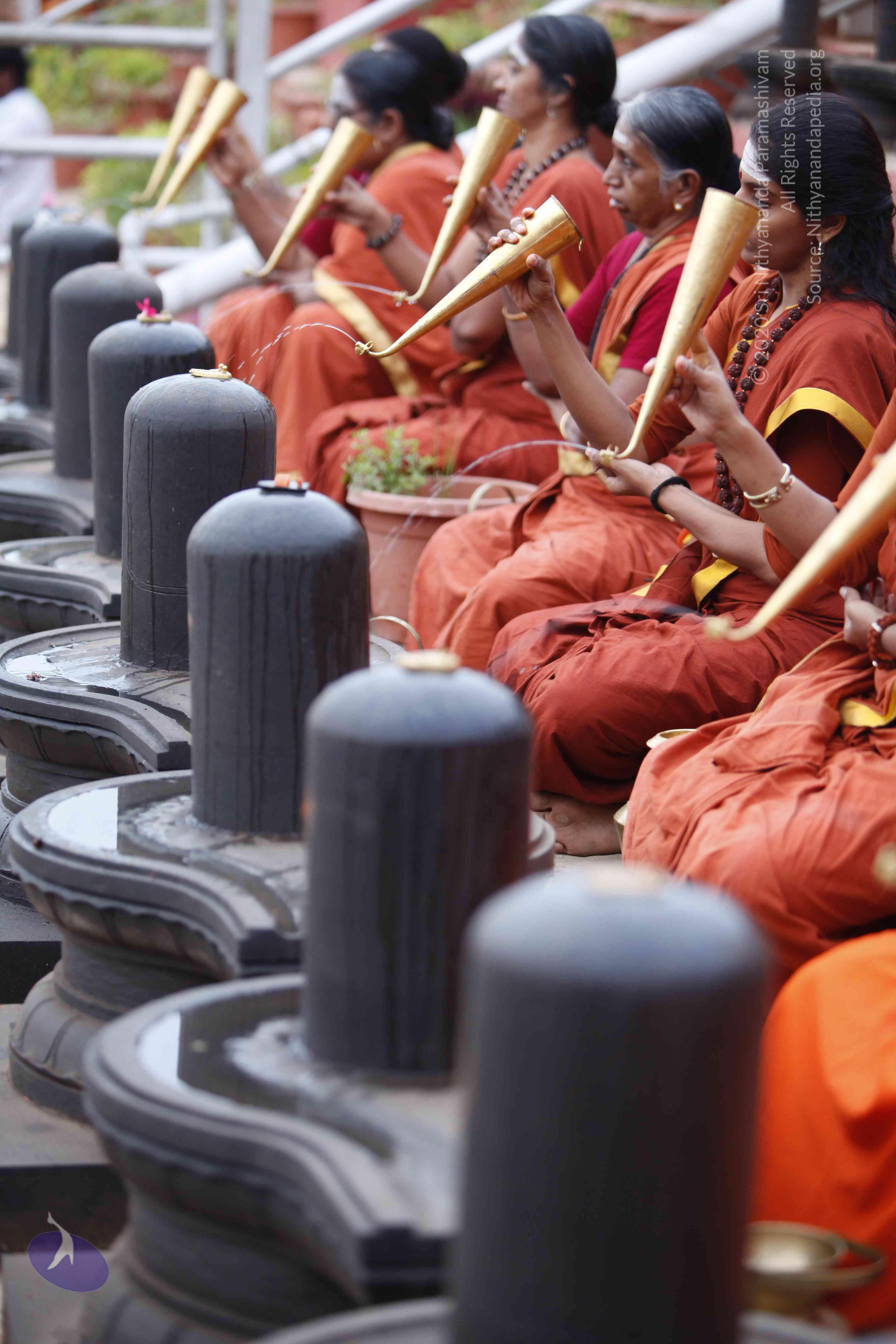 20130708_Photo_1069__MG_2321_CMP_WM