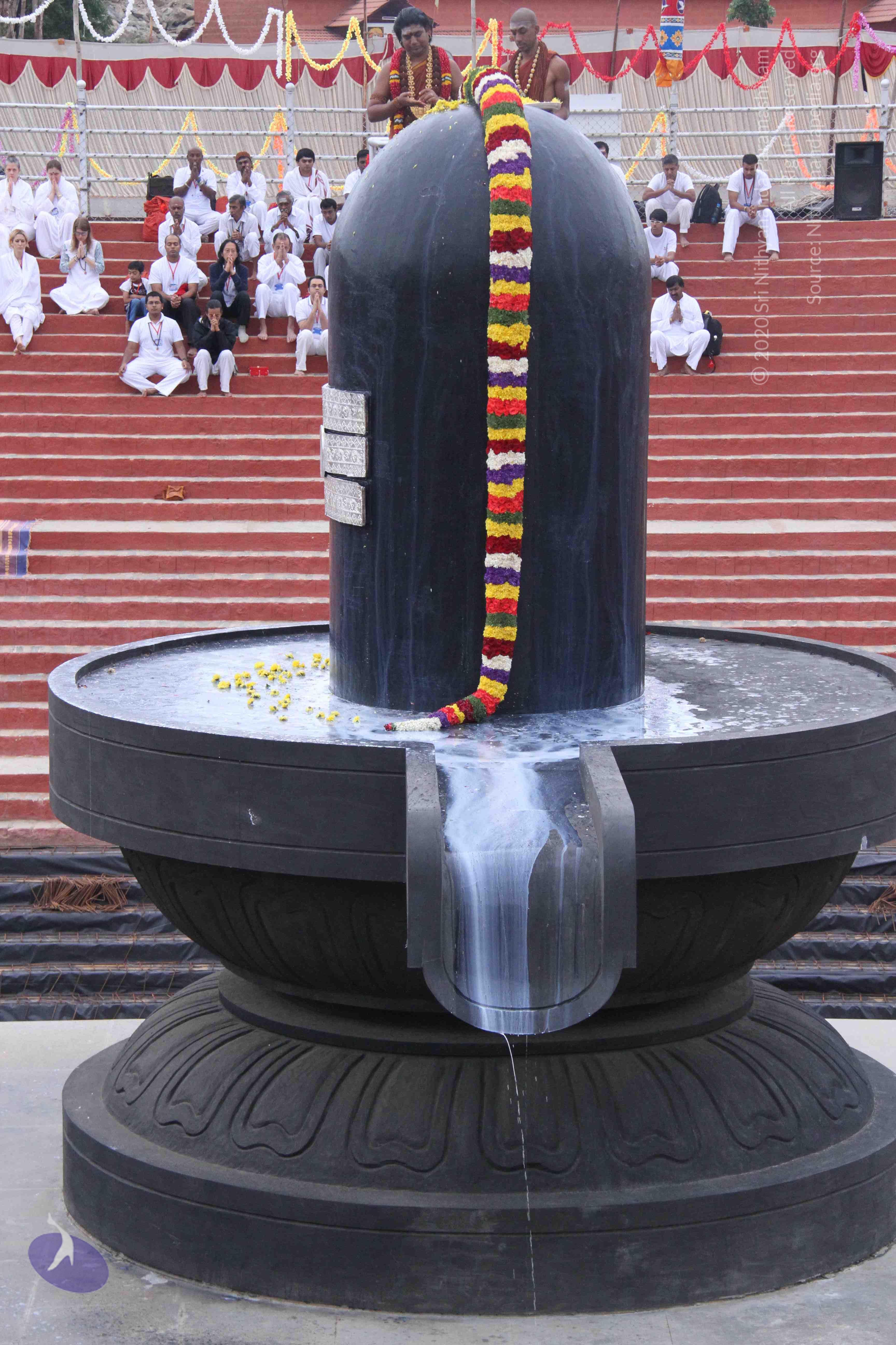 20130708_Photo_1072_IMG_0291_CMP_WM