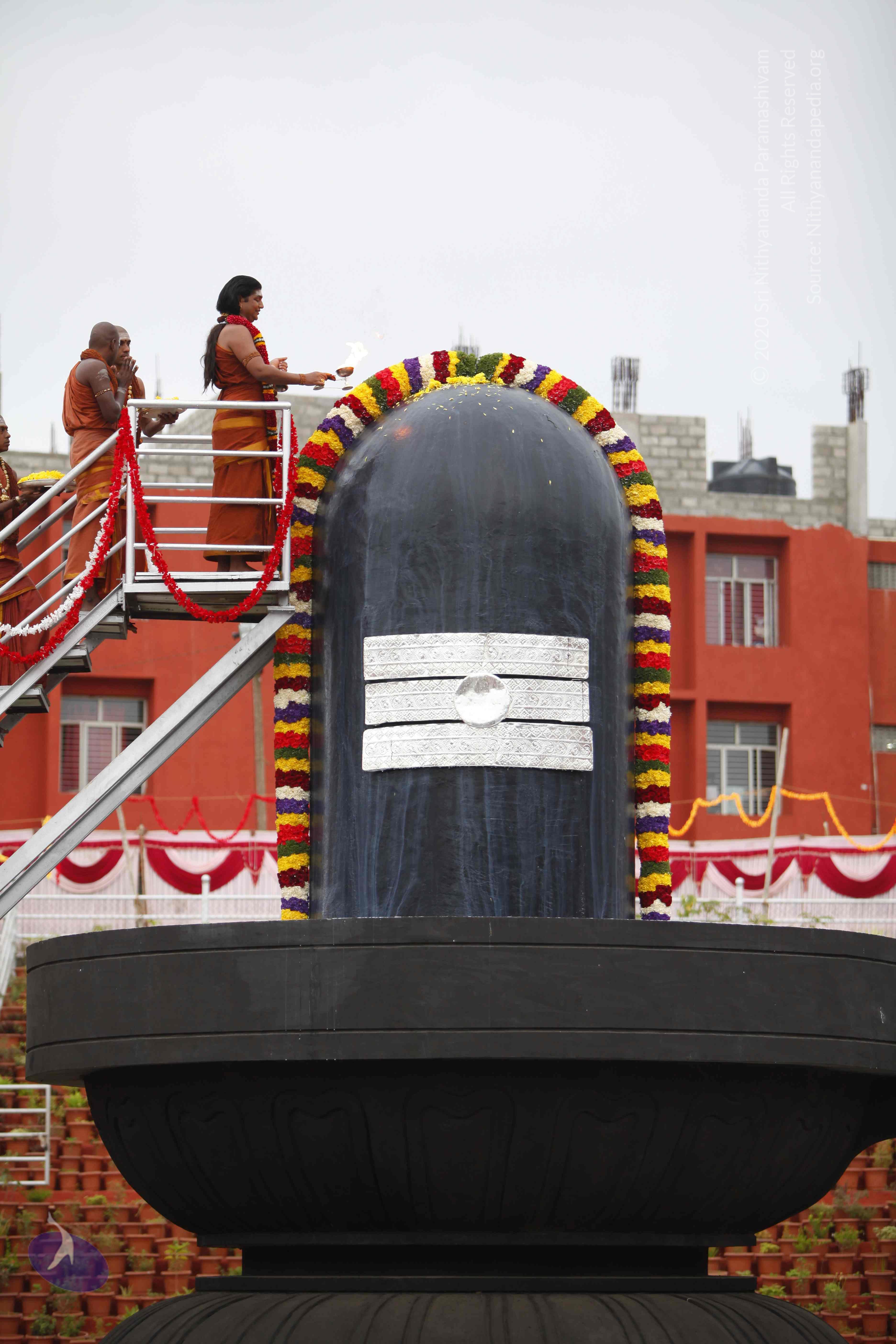 20130708_Photo_1074__MG_2365_CMP_WM