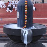 20130708_Photo_1001_IMG_0180_CMP_WM