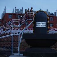 20130708_Photo_1048__MG_2258_CMP_WM