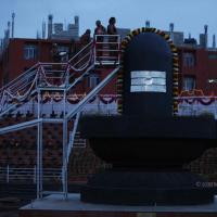 20130708_Photo_1070__MG_2257_CMP_WM