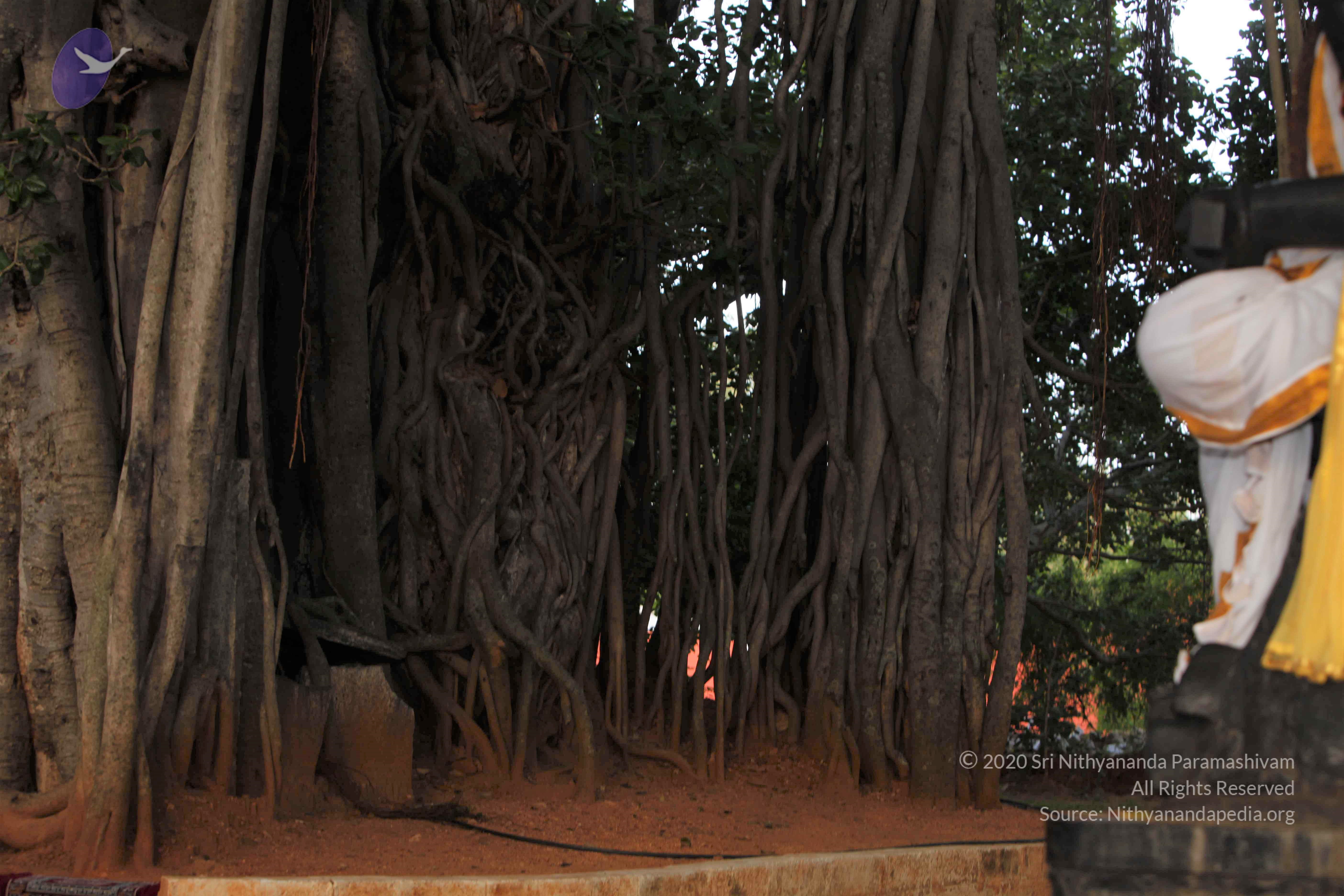 20130630_Photo_1006__MG_8621_CMP_WM