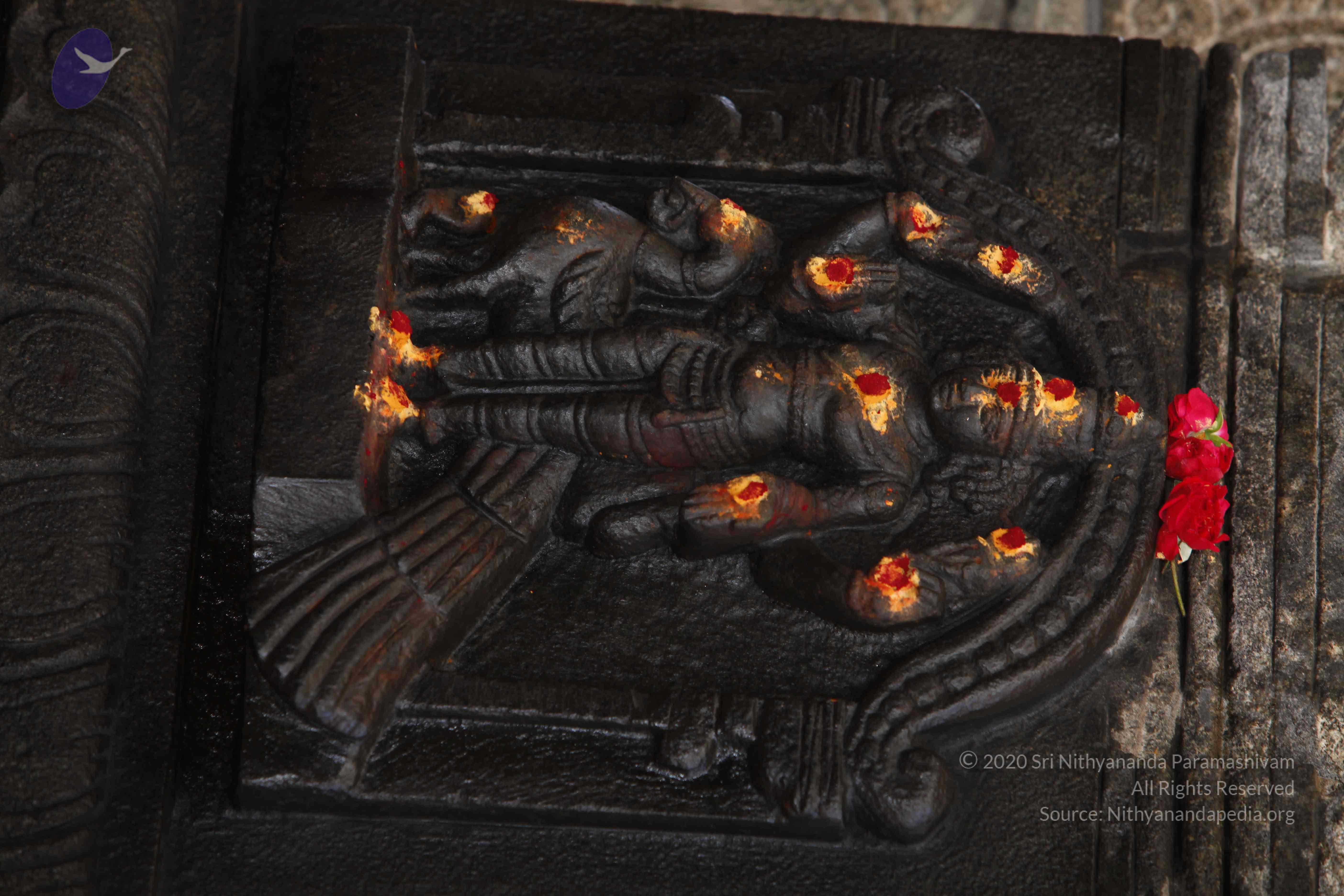 20130630_Photo_1014__MG_8595_CMP_WM