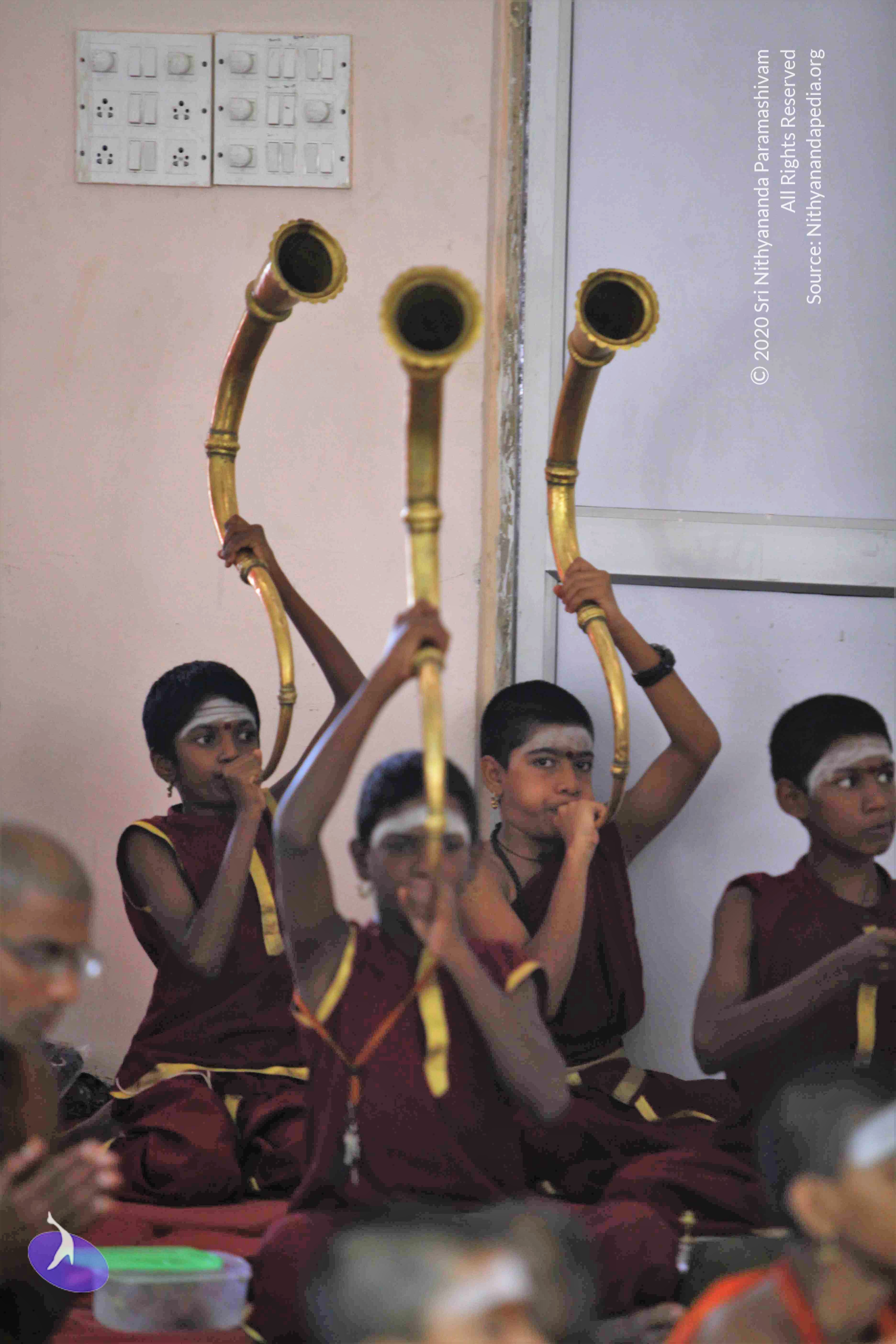 20130630_Photo_1000__MG_8676_CMP_WM