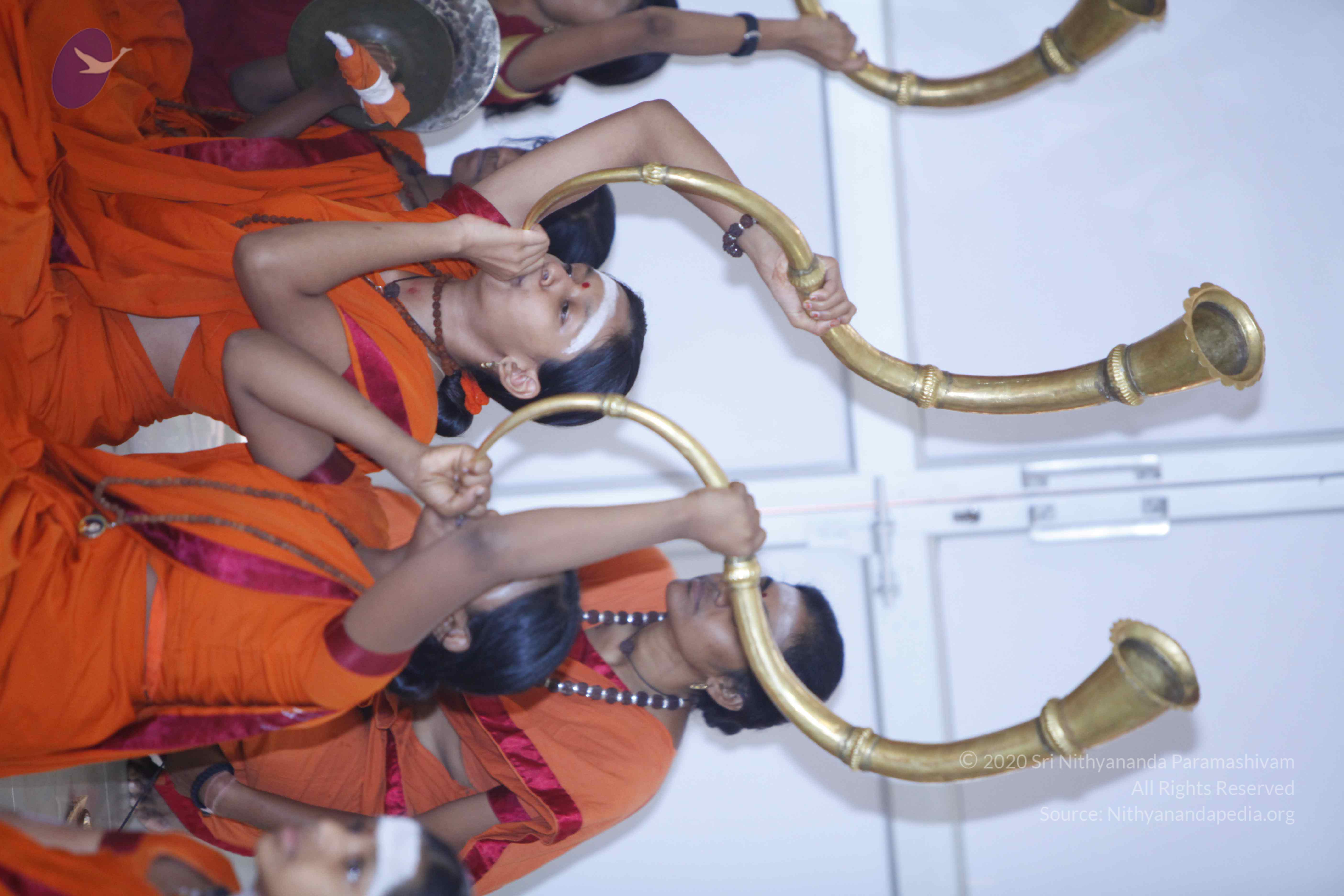 20130630_Photo_1002__MG_8679_CMP_WM