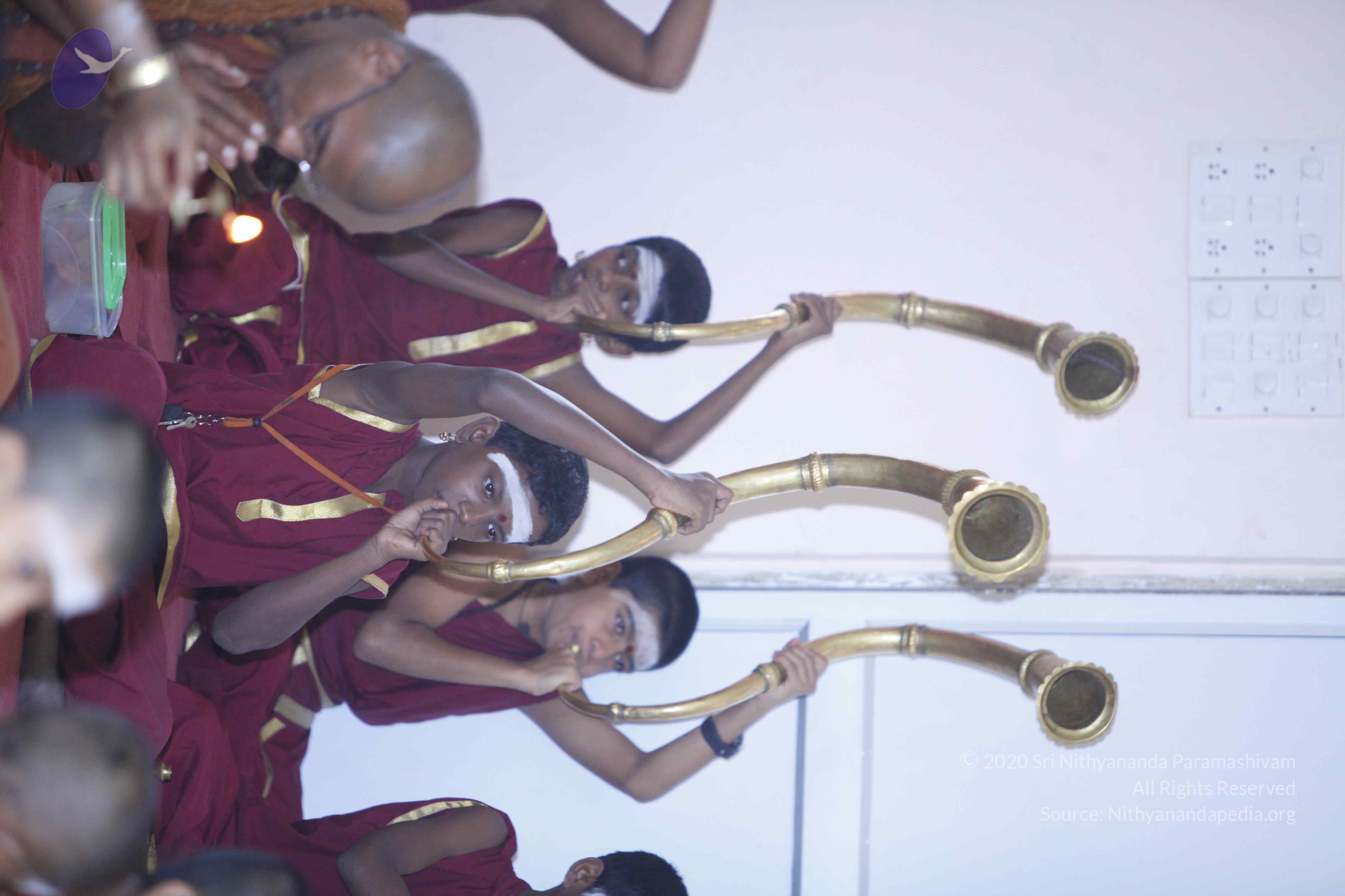 20130630_Photo_1004__MG_8677_CMP_WM