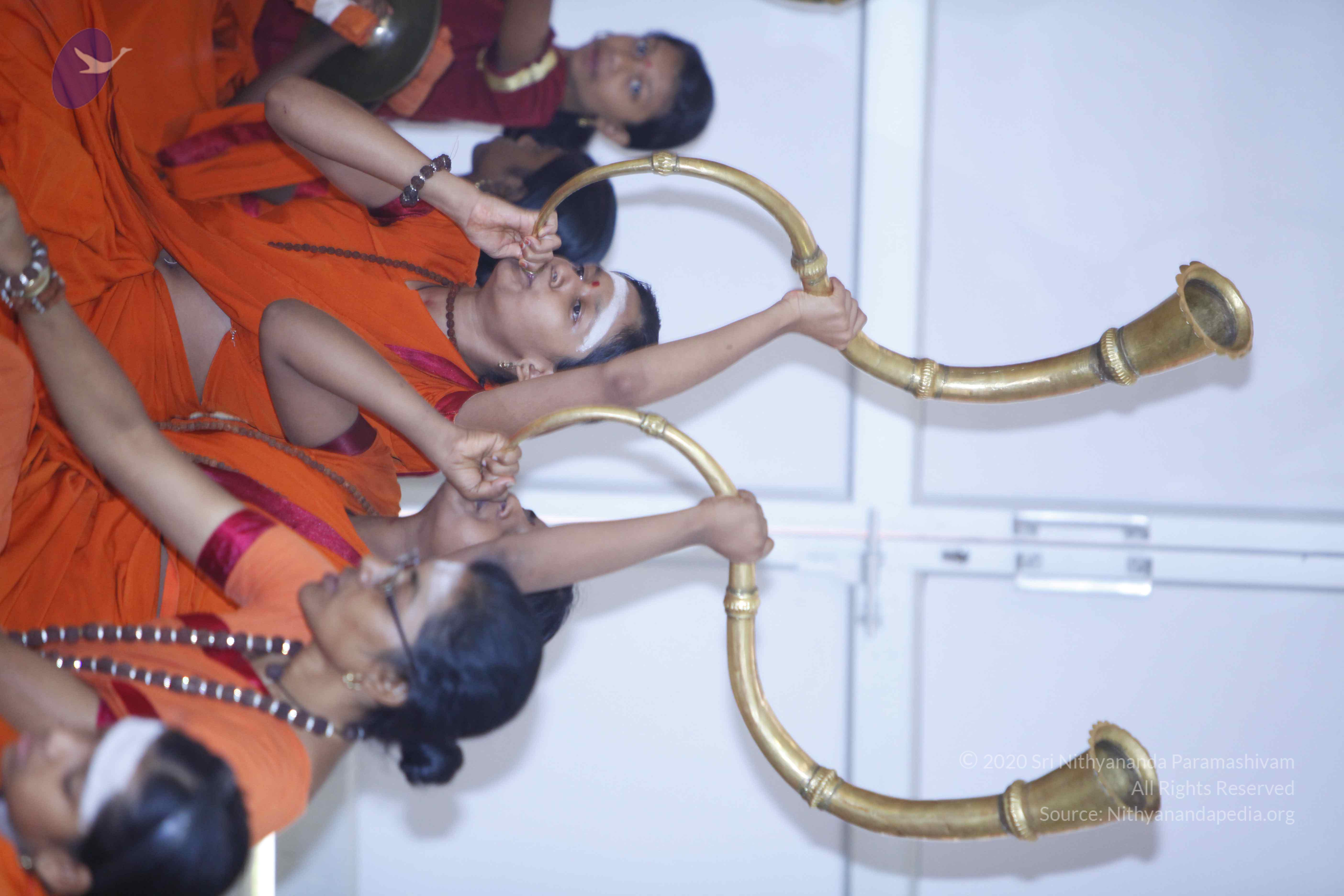 20130630_Photo_1006__MG_8678_CMP_WM