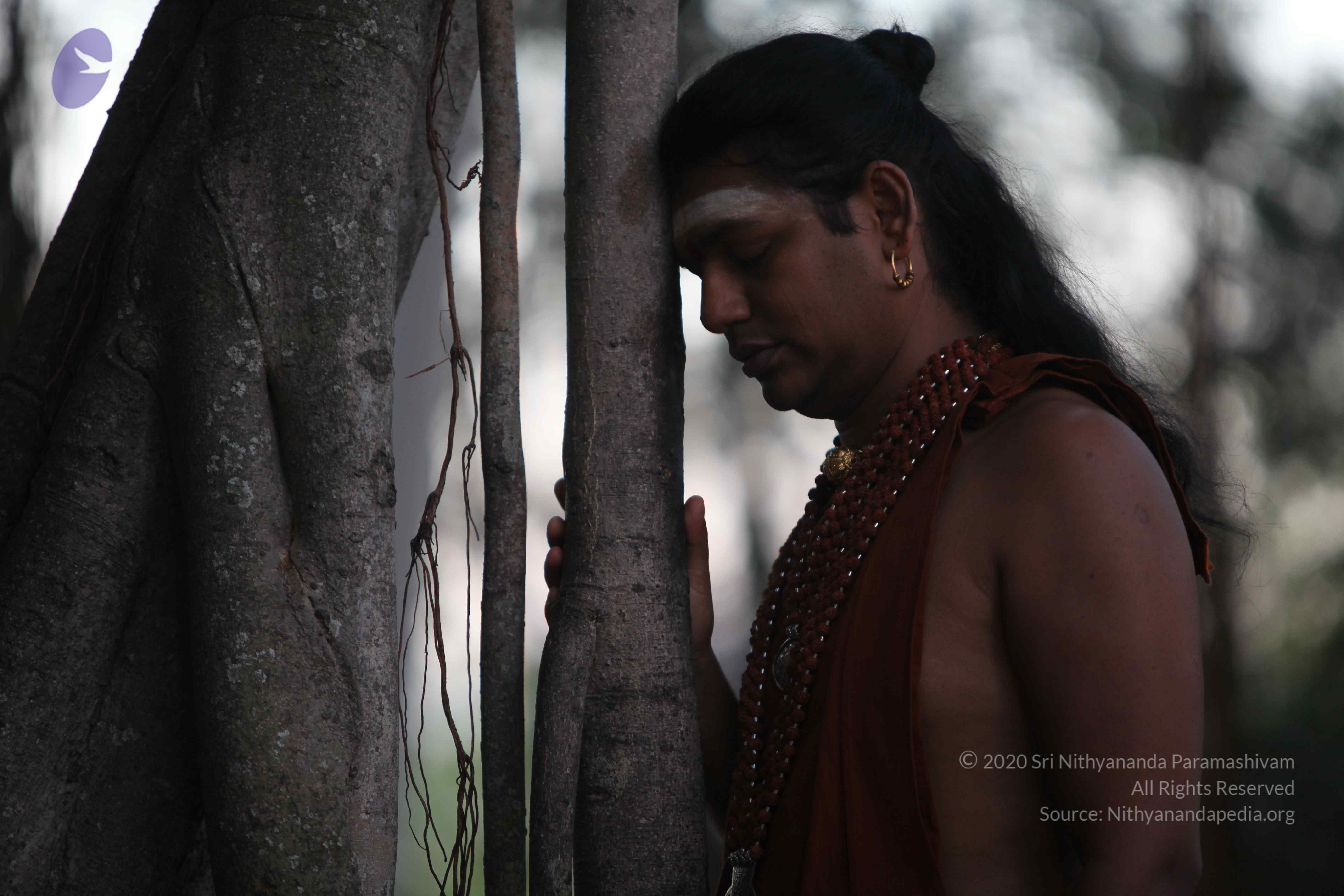 20130115_Photo_1010_1bWEBa9et7XT1ssdHgVmFJBRus7GcEj5C