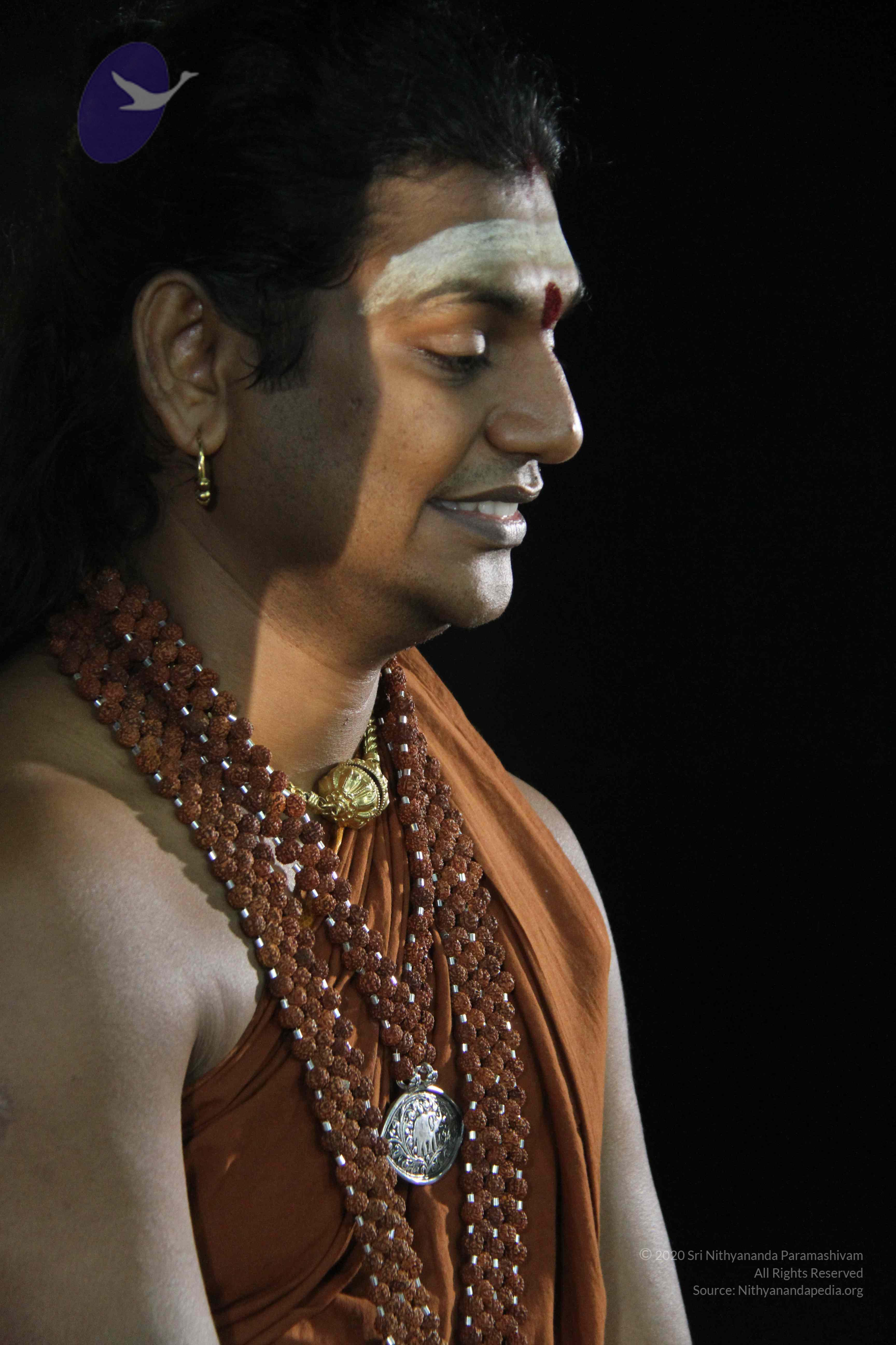 20130115_Photo_1011_1m4DUprVVA54nexaenmRs5WYEUcgCEgVc