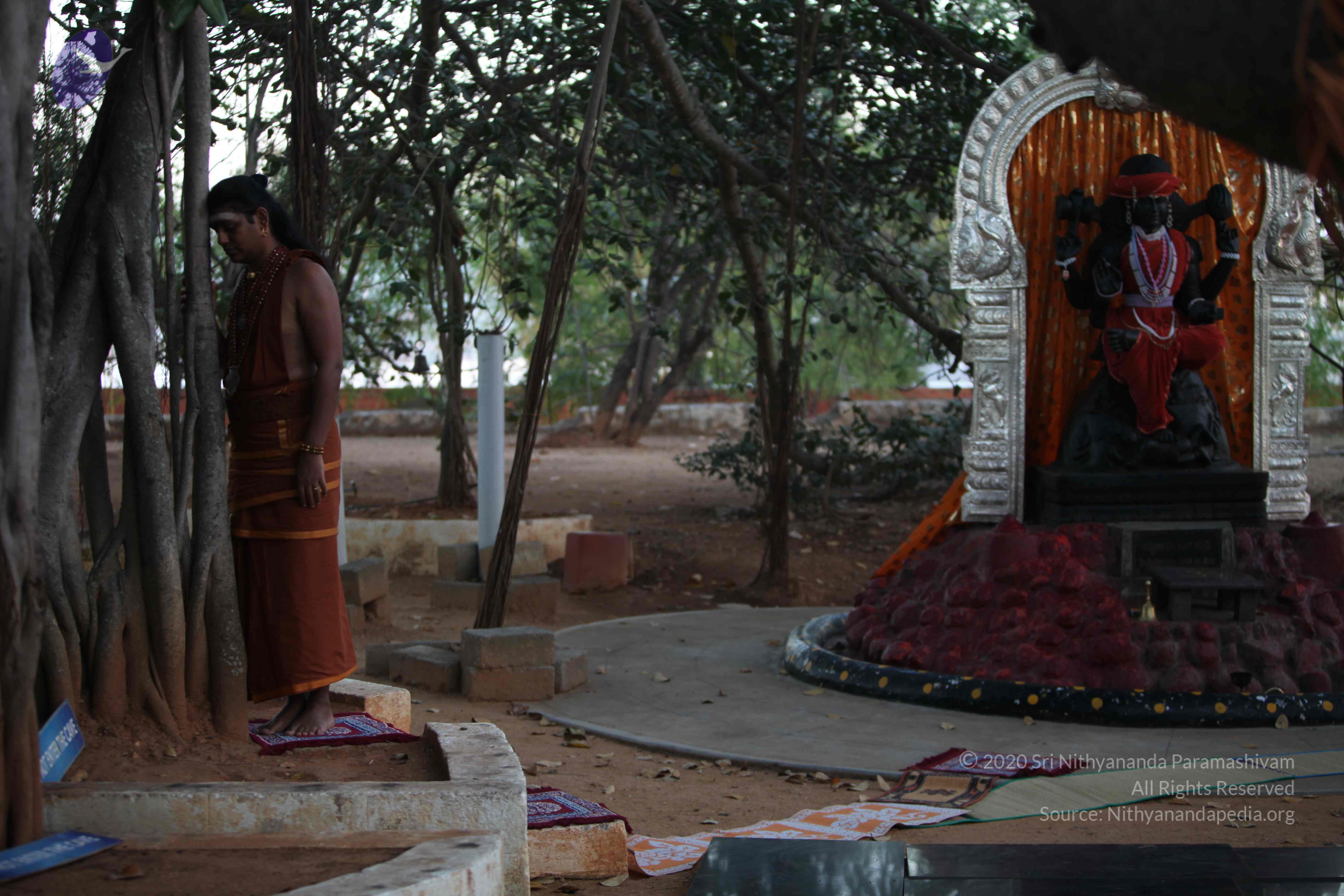 20130115_Photo_1012_1wlYyspxMuGsrG6bZRqpZkWYqBmOSeYDS