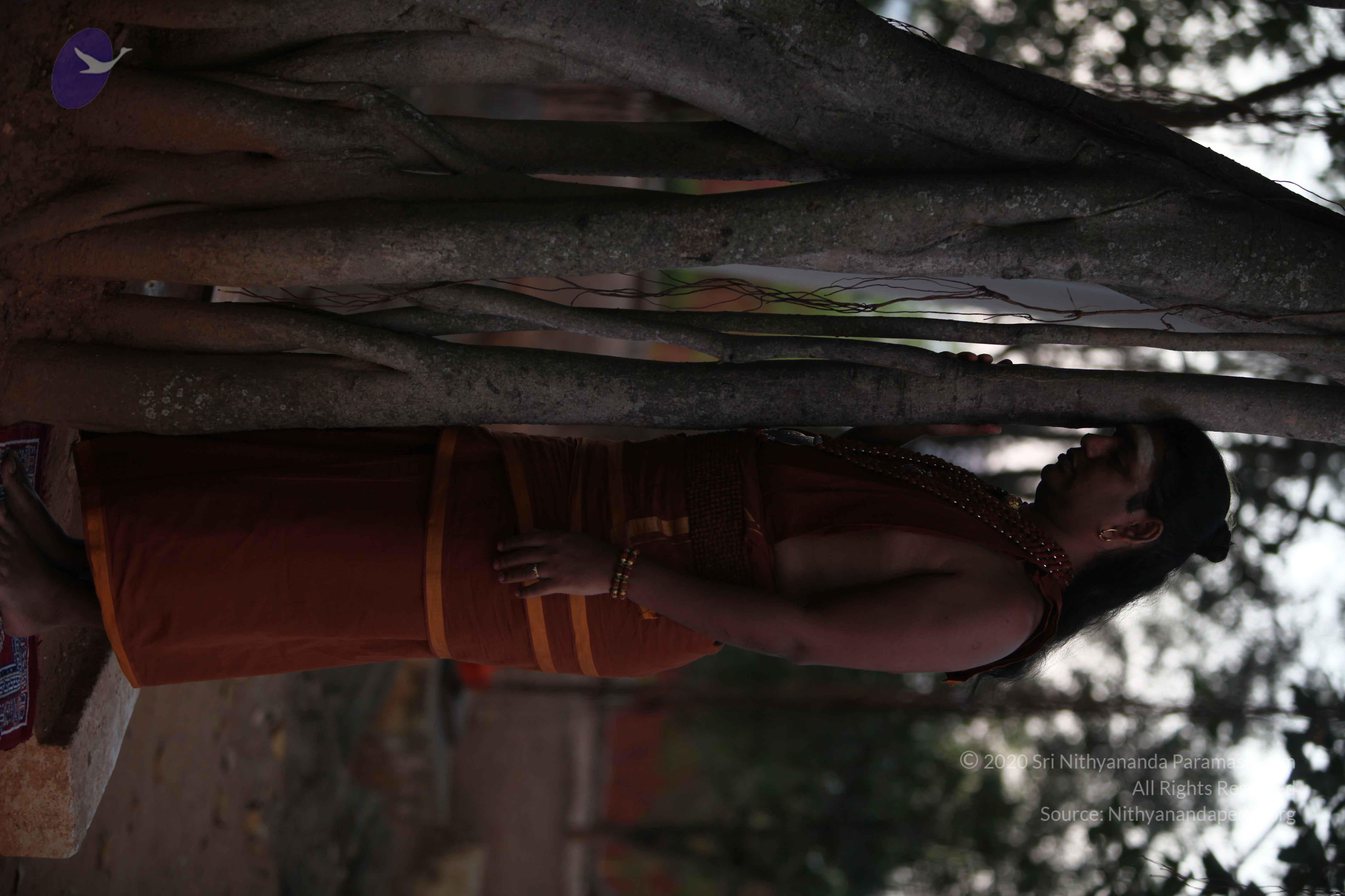 20130115_Photo_1023_1F1PSBgEj0qiRJW5ioNMtI-KTQ33Qi1pd