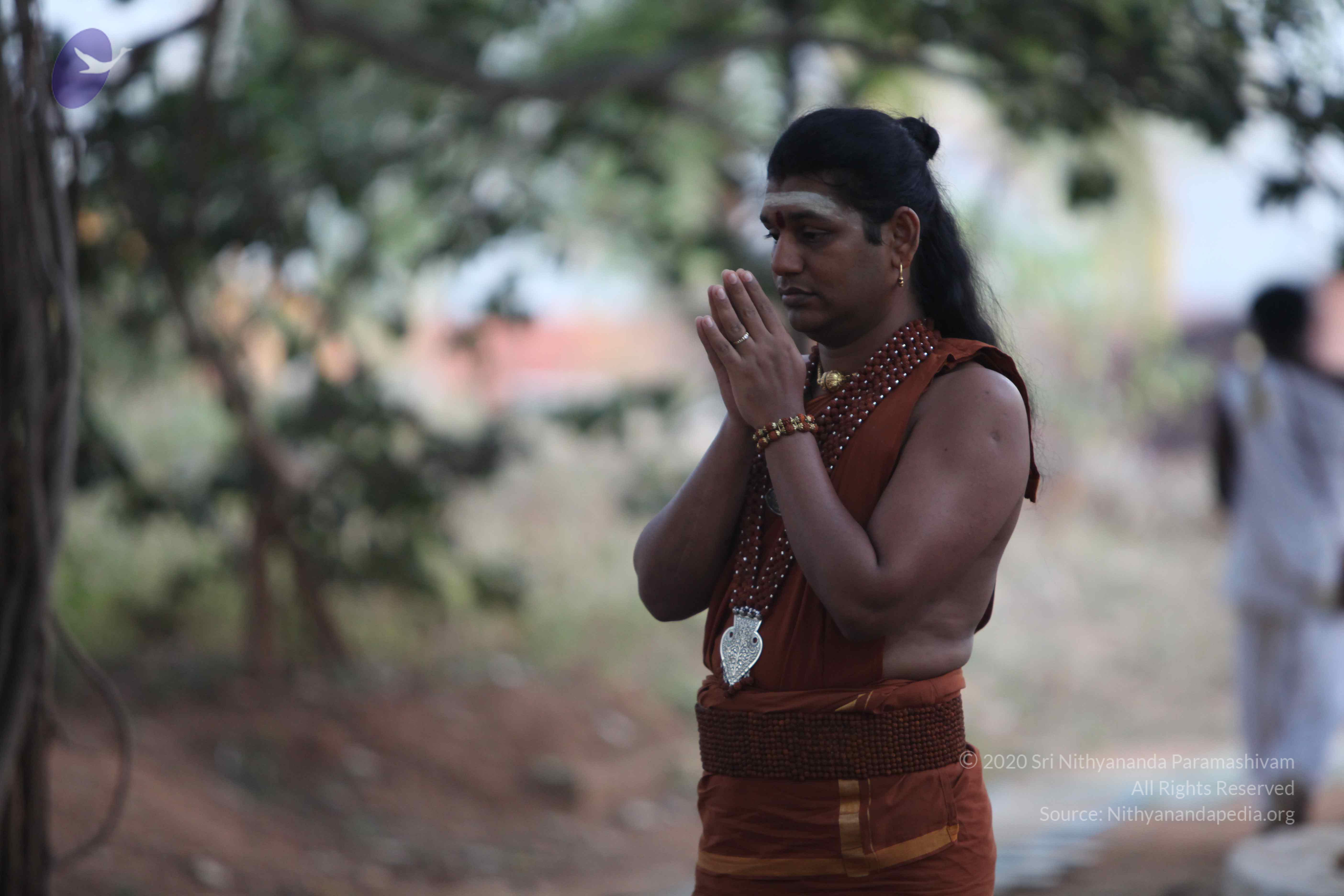 20130115_Photo_1024_1ViUi5rJ_TTQJe16D96m7UVVJZJpnGSwG