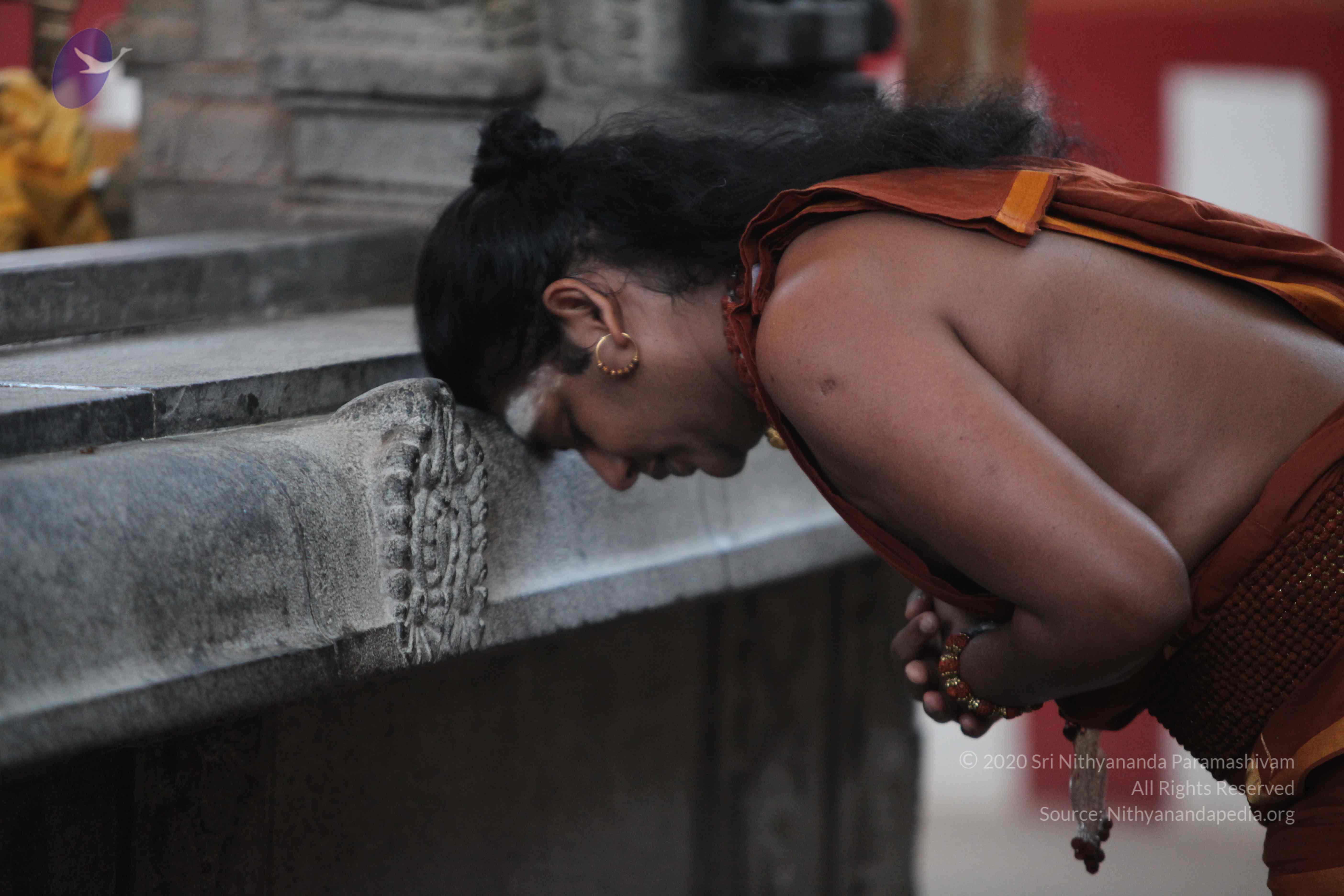 20130115_Photo_1078_1OBL1Co0Q8oX458A8ONfbMUdjPby-rorf