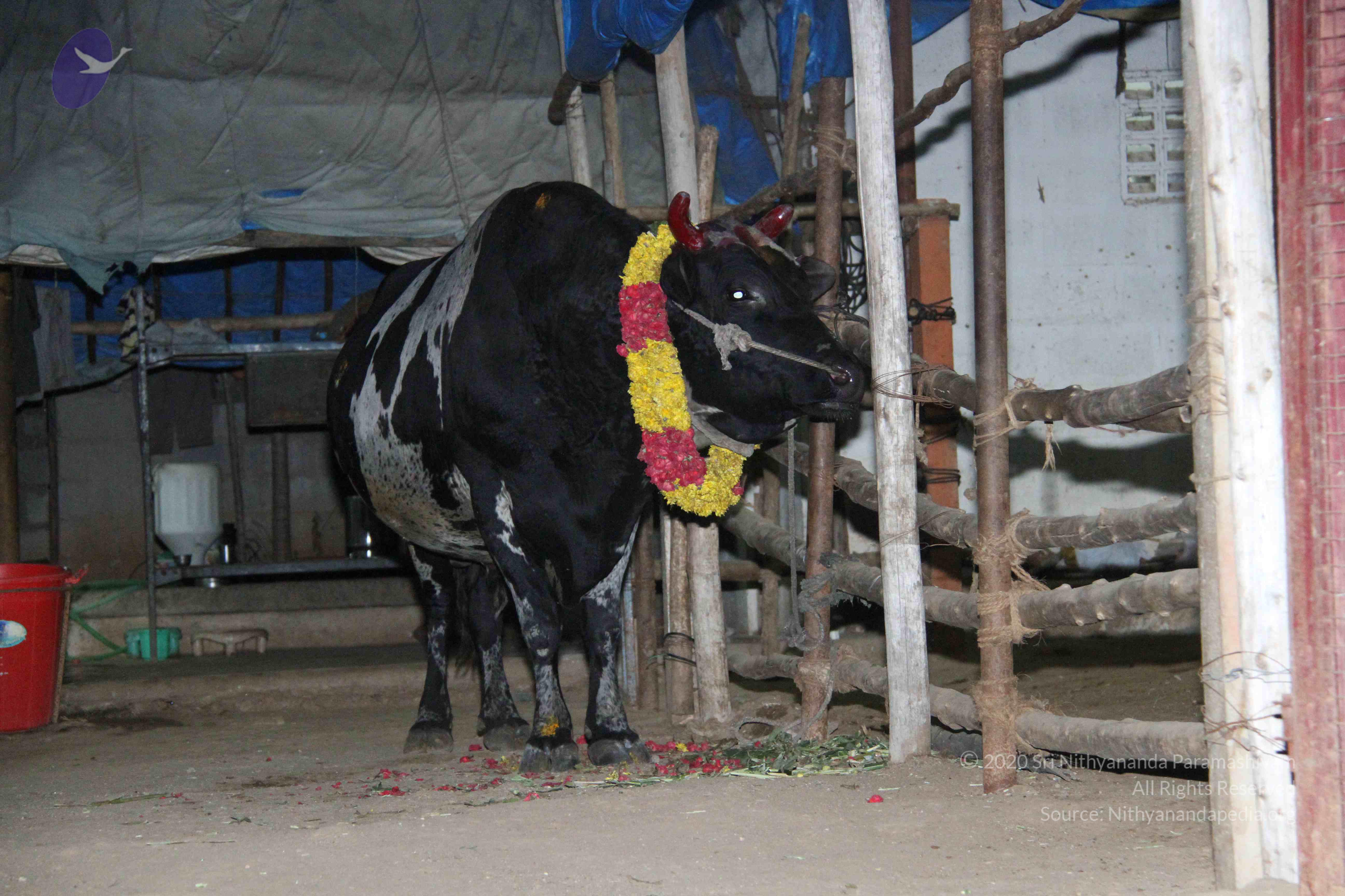 20130115_Photo_1002_1b2BZpSu9ePslkFpHTGuv1x9tMinTcUIM