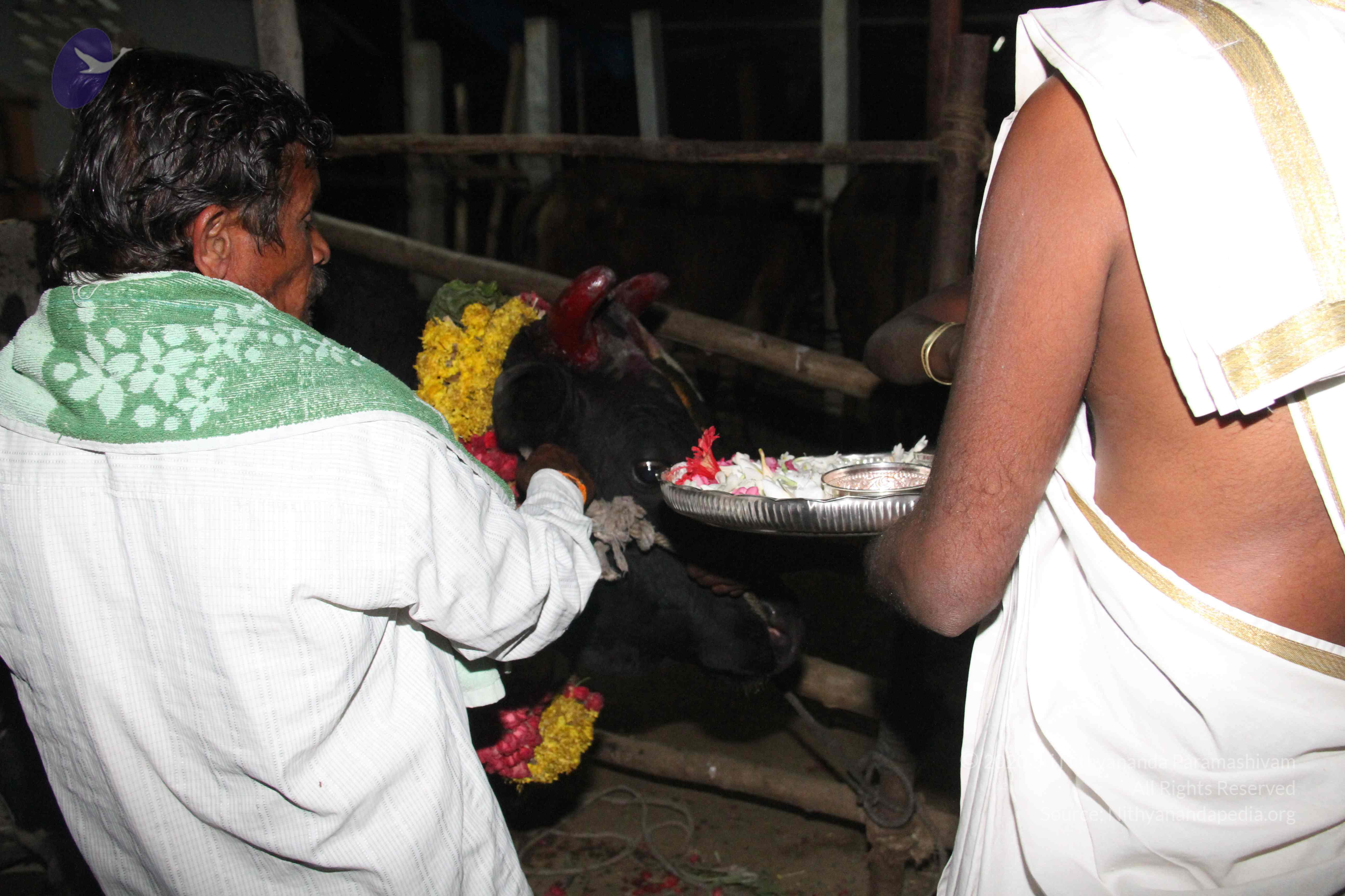 20130115_Photo_1008_1kRwIb55-EqvQILXl04j63ngxX97tPiU2