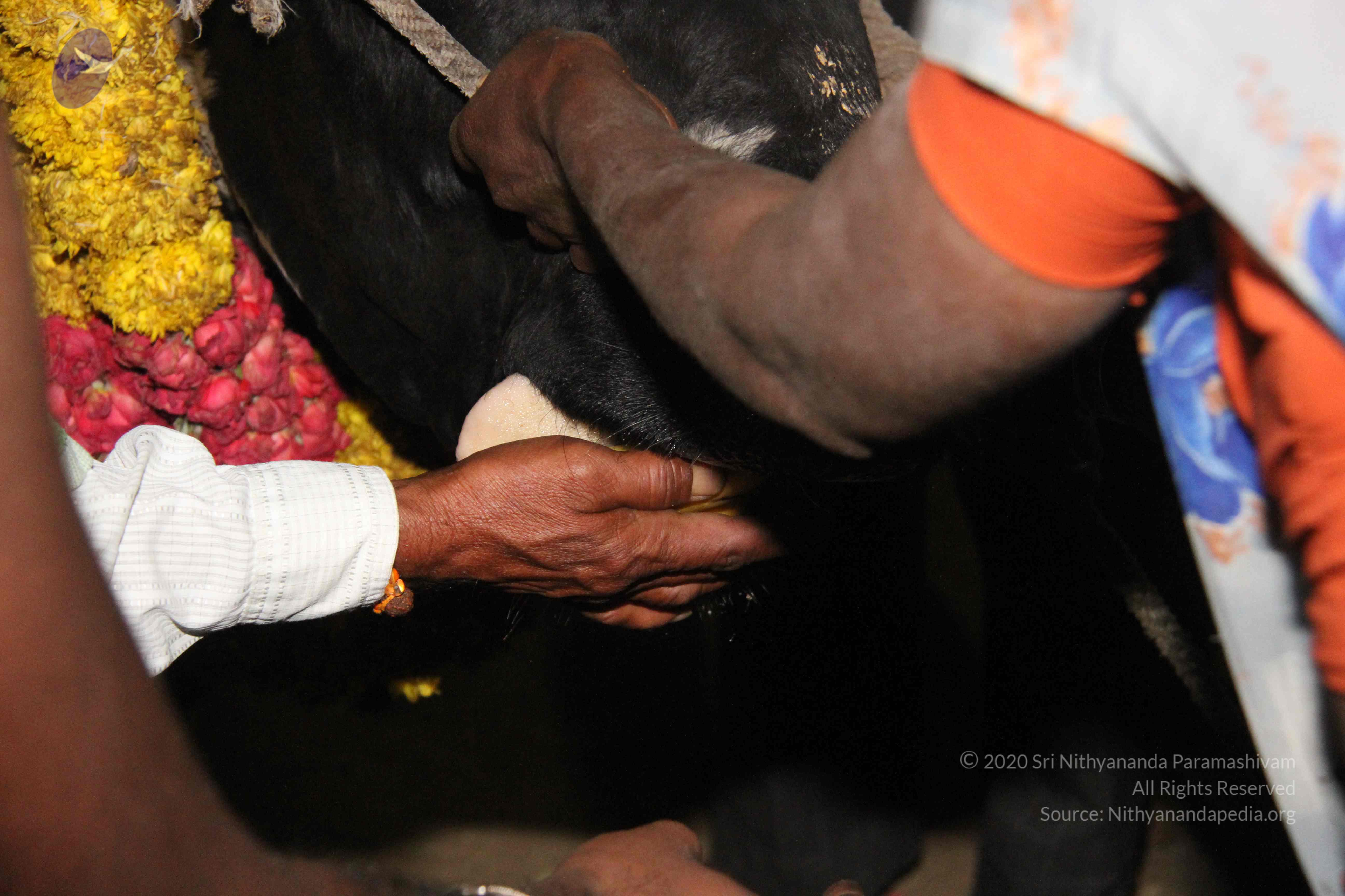 20130115_Photo_1011_1naTkdbfdwM8m0i9gJ-eiCKEHOlv8ocJM