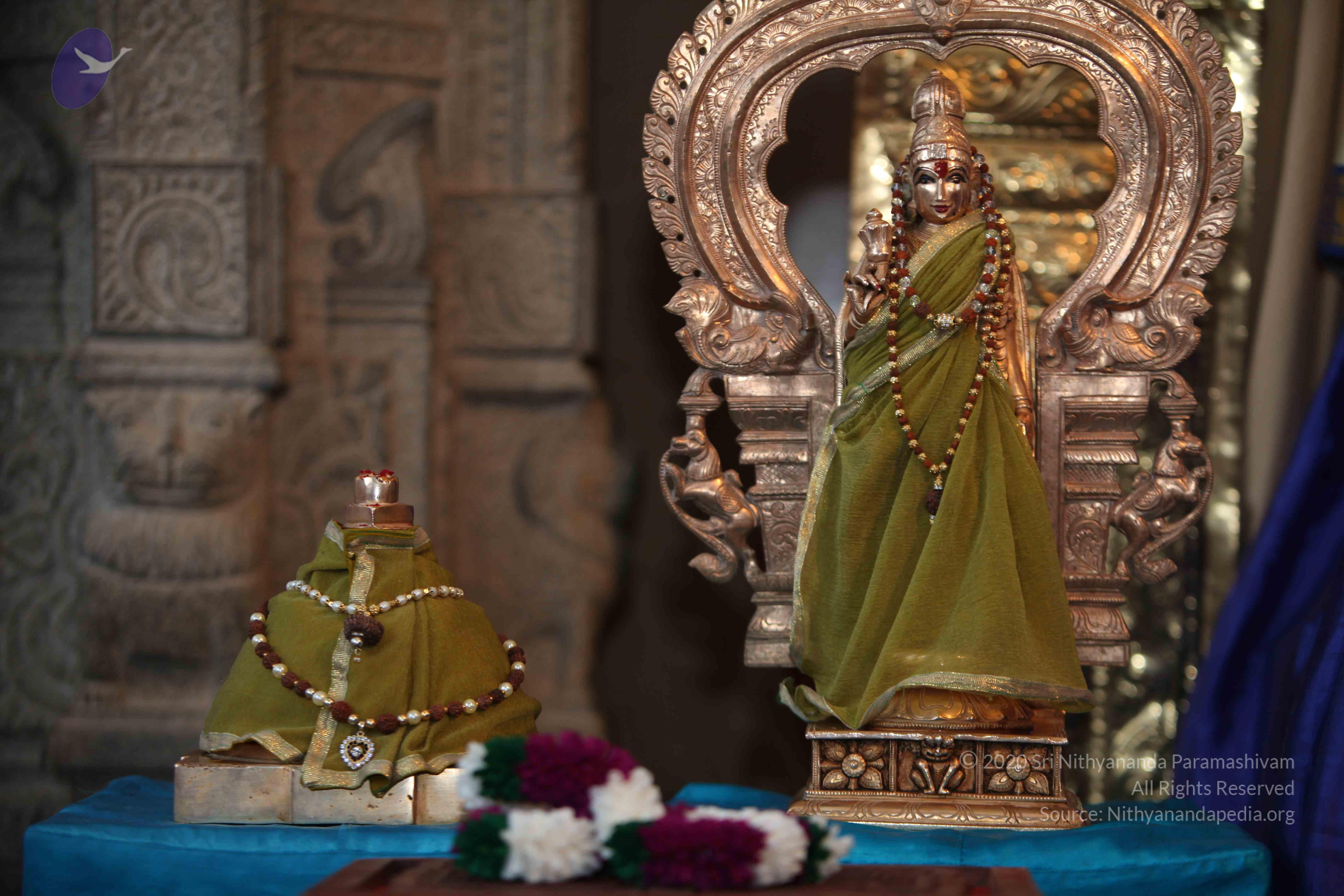 20130115_Photo_1020_1WO6jHgSLLGTfpWRs9SQdrWeTqcL9sha1