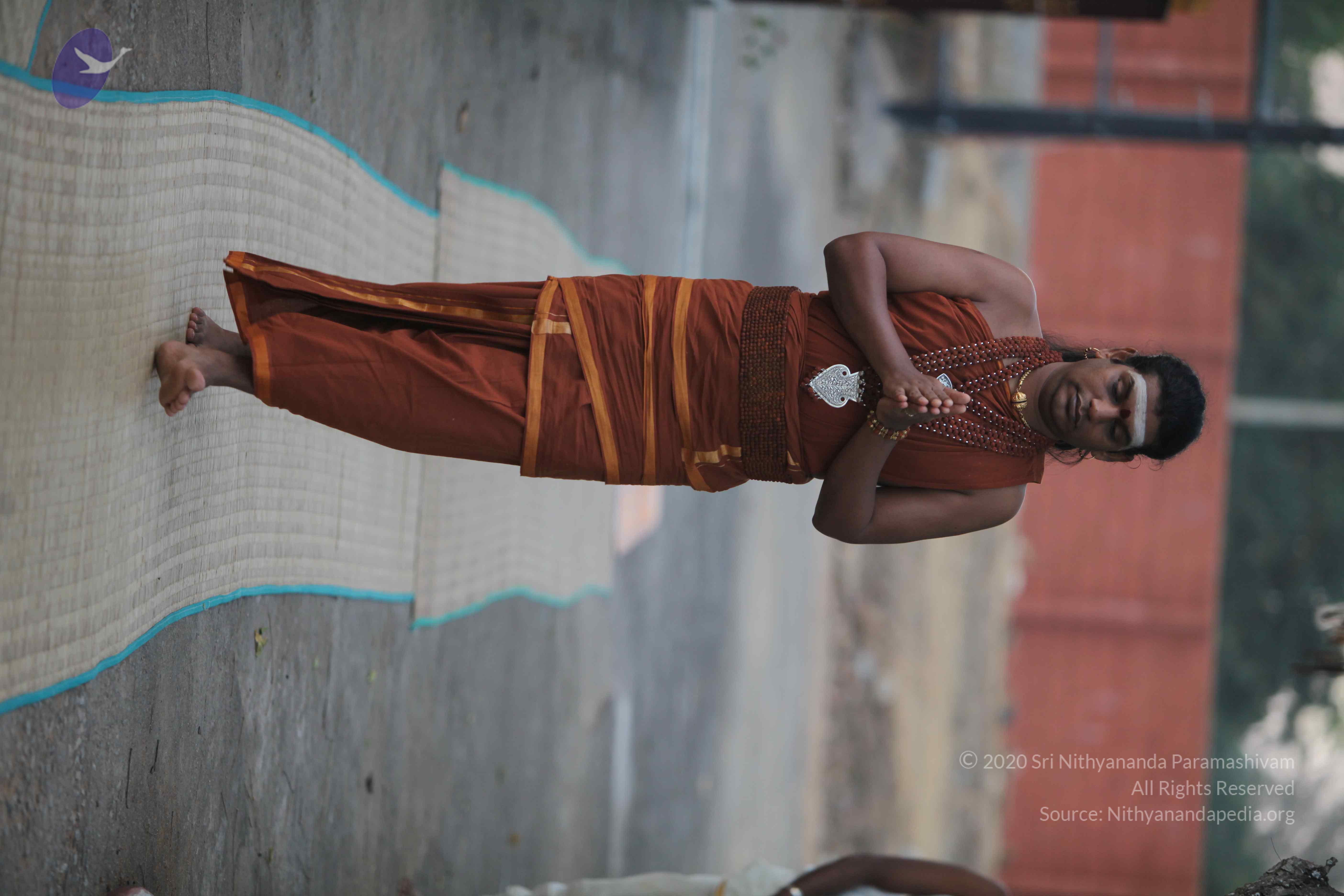 20130115_Photo_1039_1zdaI3Z7CKMFVJvtOTtSiTj-TCeumDo5F