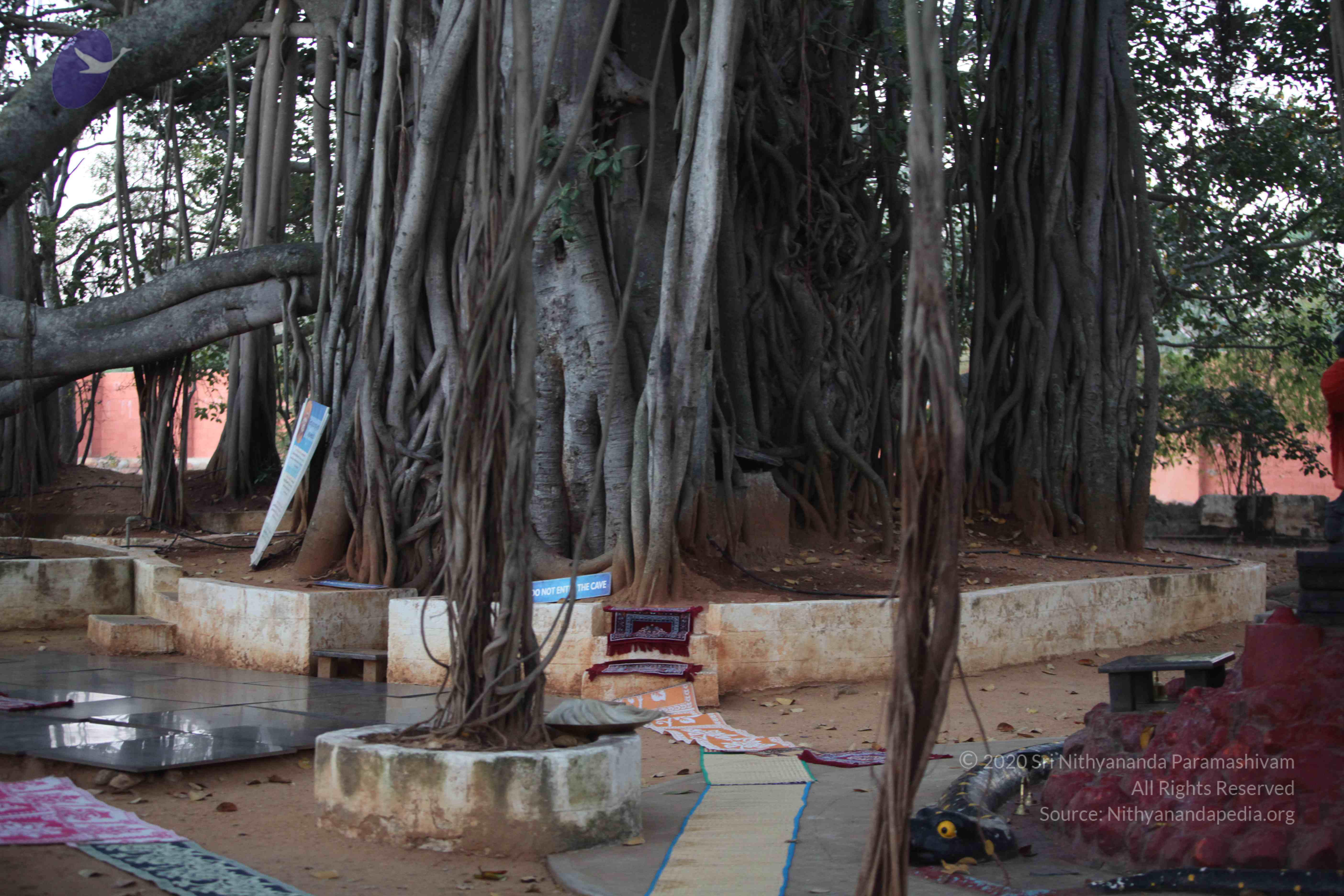 20130115_Photo_1056_1cTy-ZNKPyjtcPHE31L7l1WXkQ43tkKKa