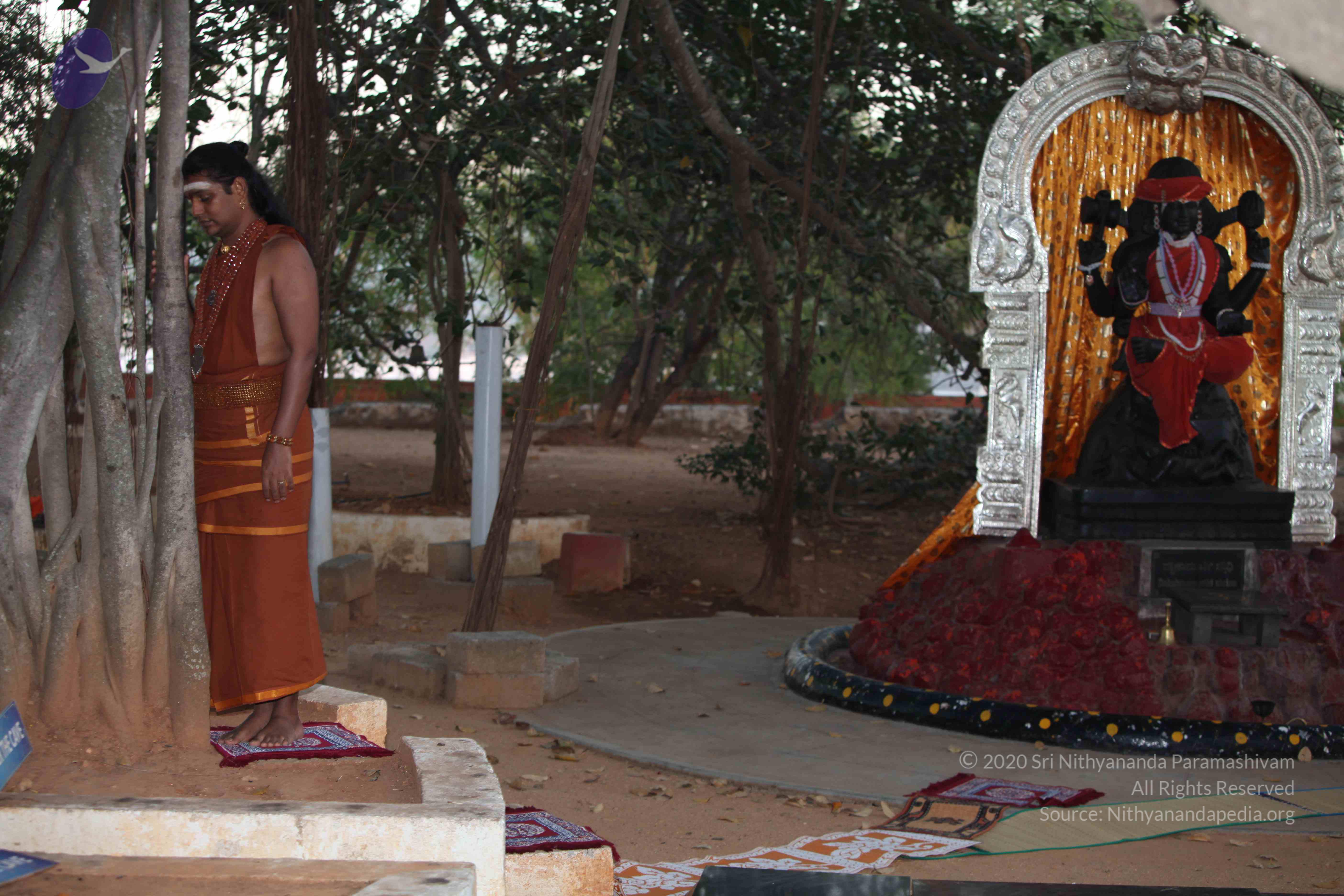 20130115_Photo_1081_177_JycTdGbdwTmlIr9EQWl_-YhGEaBgj