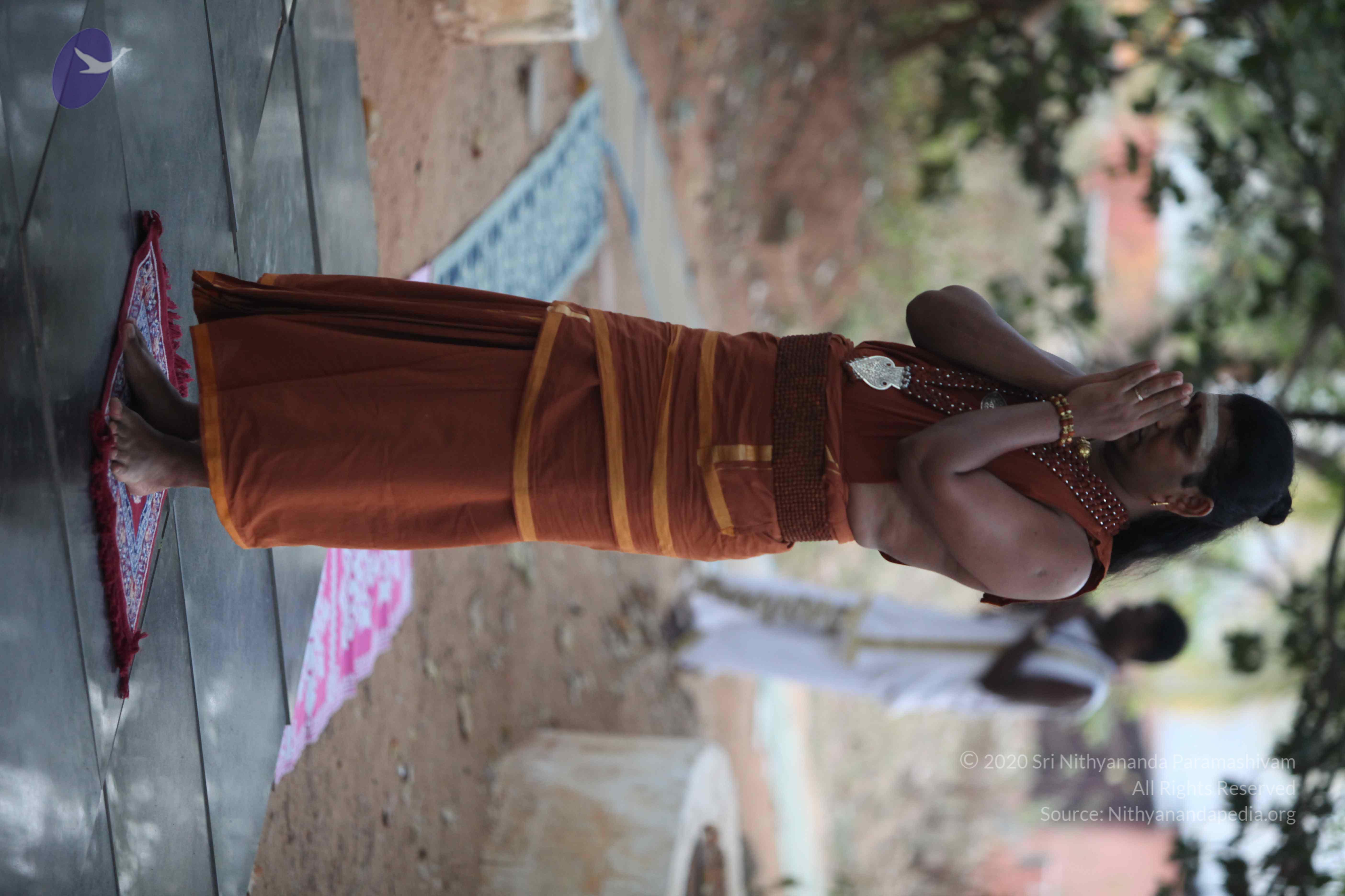 20130115_Photo_1082_169t2Rrd9n25BL9UWN9kPoSFnUwNpzEbj