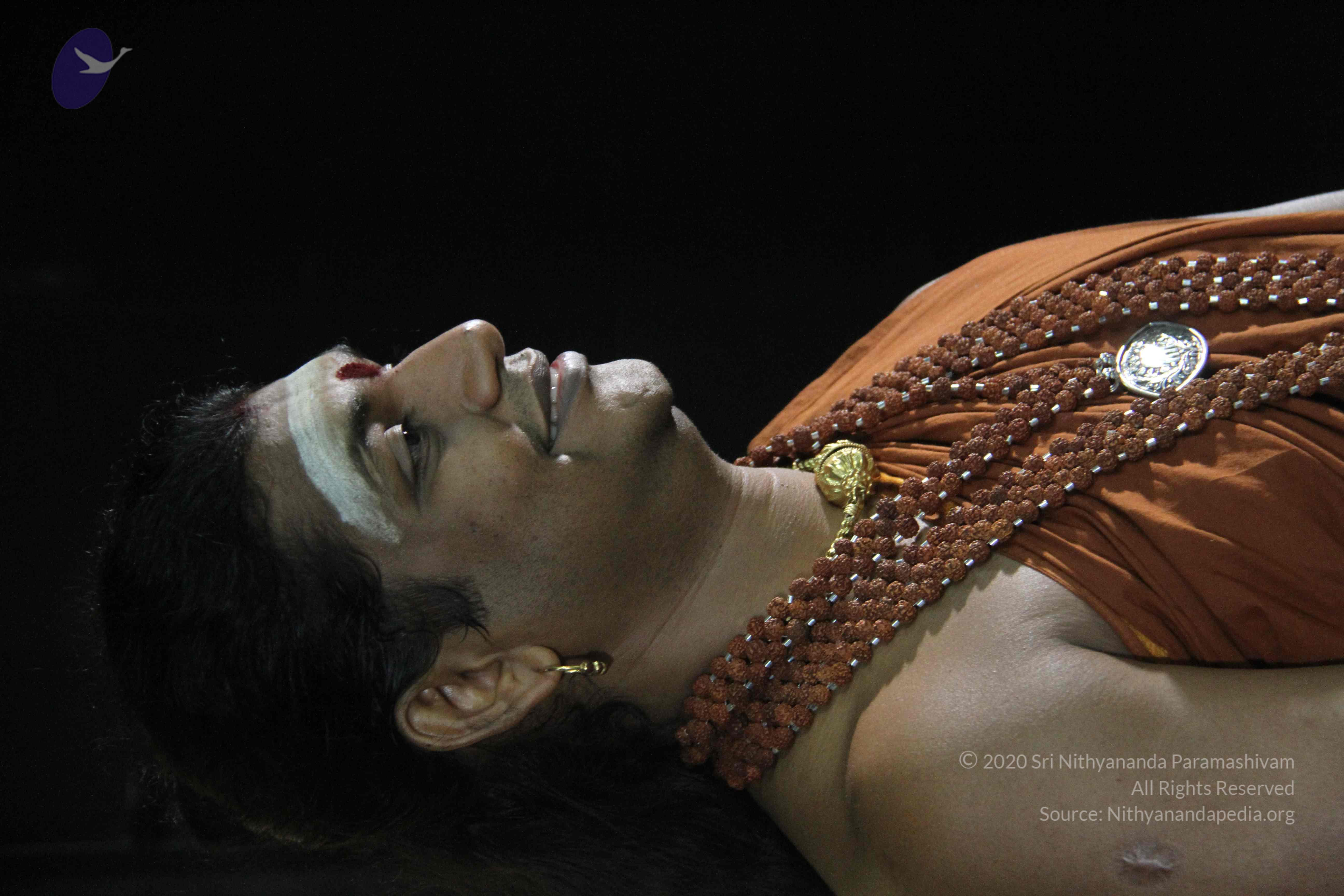 20130115_Photo_1001_1K4BQovS82iYLDaxoj4nYOBlWiuIBD4Rx