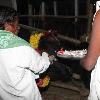 20130115_Photo_1008_1kRwIb55-EqvQILXl04j63ngxX97tPiU2