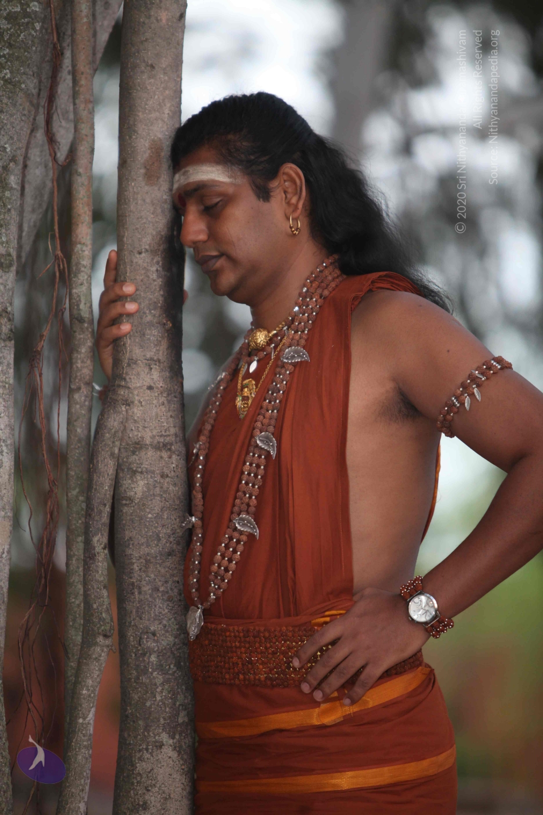 20130117_Photo_1002_IMG_0571_CMP_WM