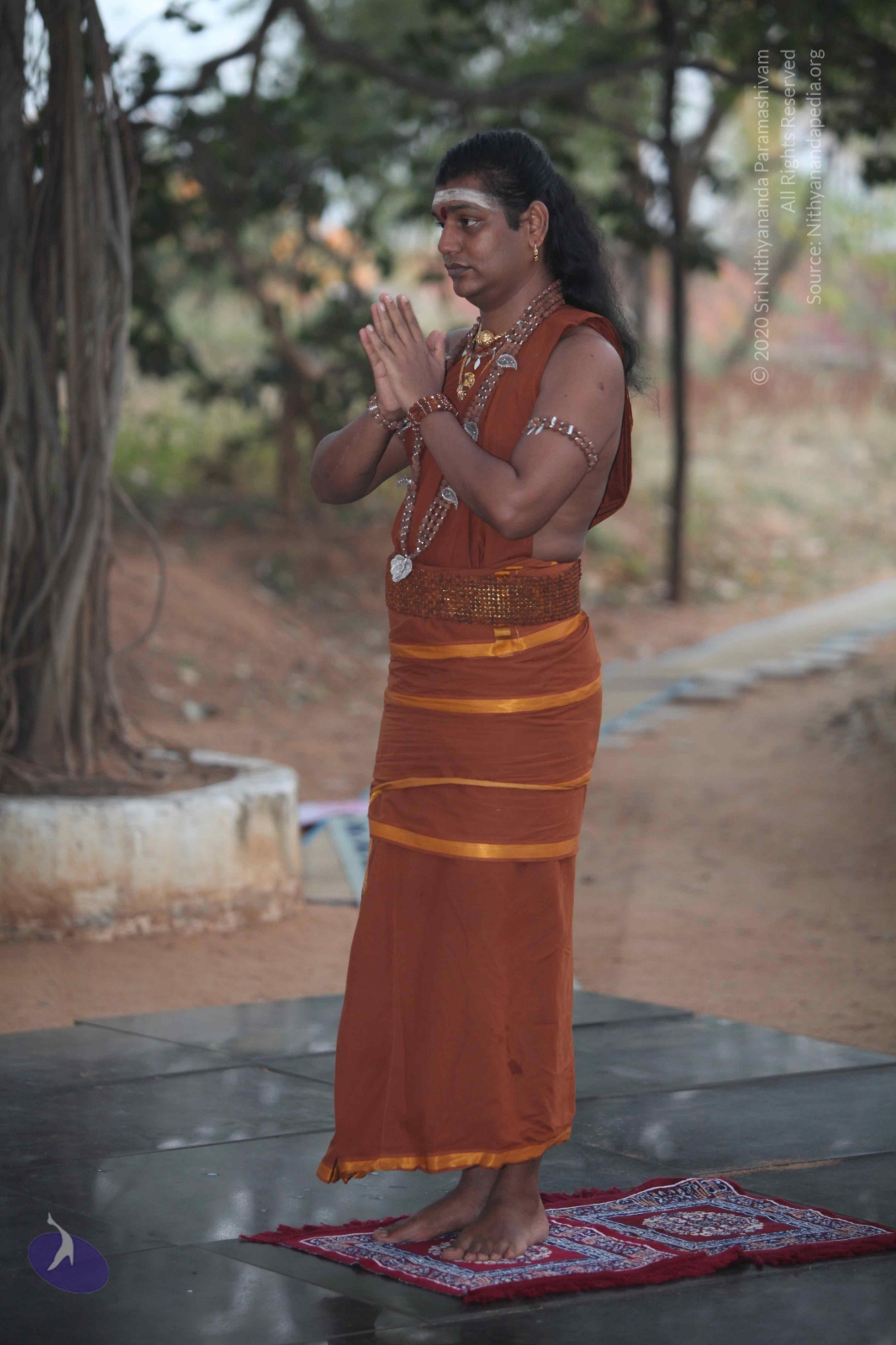 20130117_Photo_1003_IMG_0576_CMP_WM