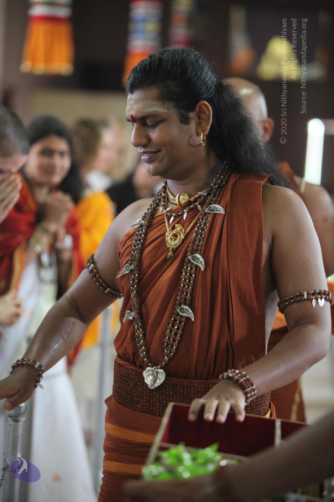 20130117_Photo_1000_IMG_0775_CMP_WM