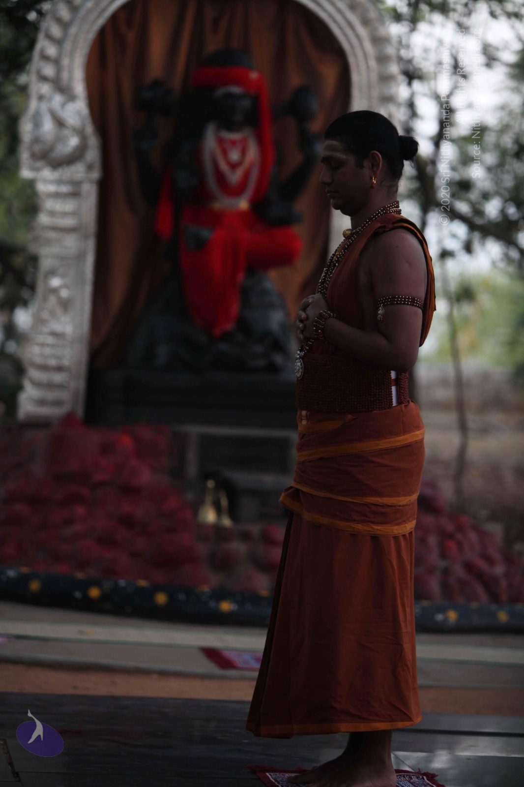 20130118_Photo_1000_IMG_0819_CMP_WM