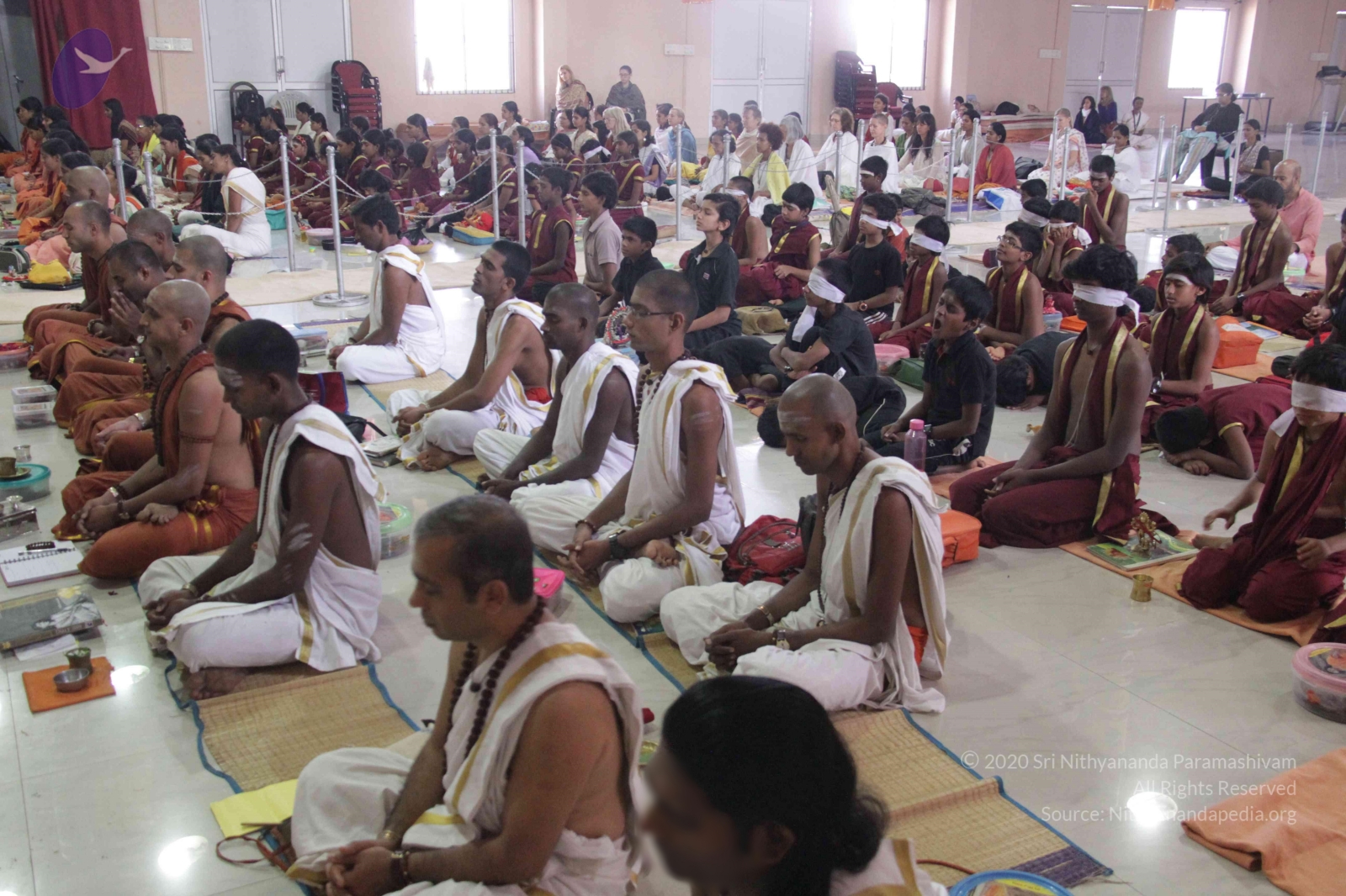 20130118_Photo_1022_IMG_0856_CMP_WM