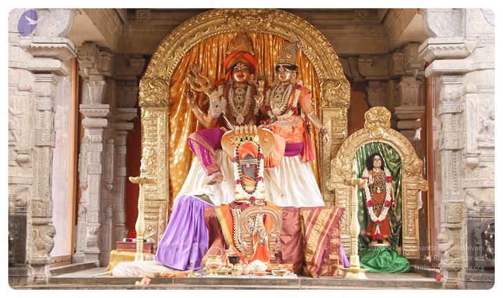 Nithyananda_Swami-11-6-13-21_CMP_WM