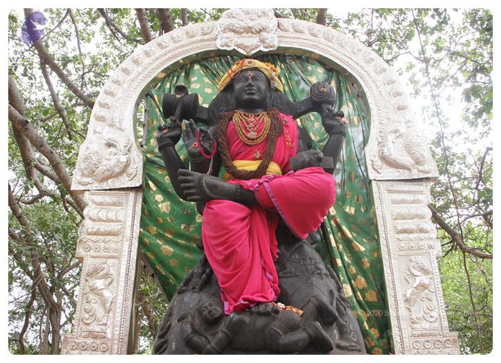 Nithyananda_Swami-11-6-13-5_CMP_WM