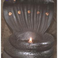 Nithyananda_Swami-11-6-13-7_CMP_WM