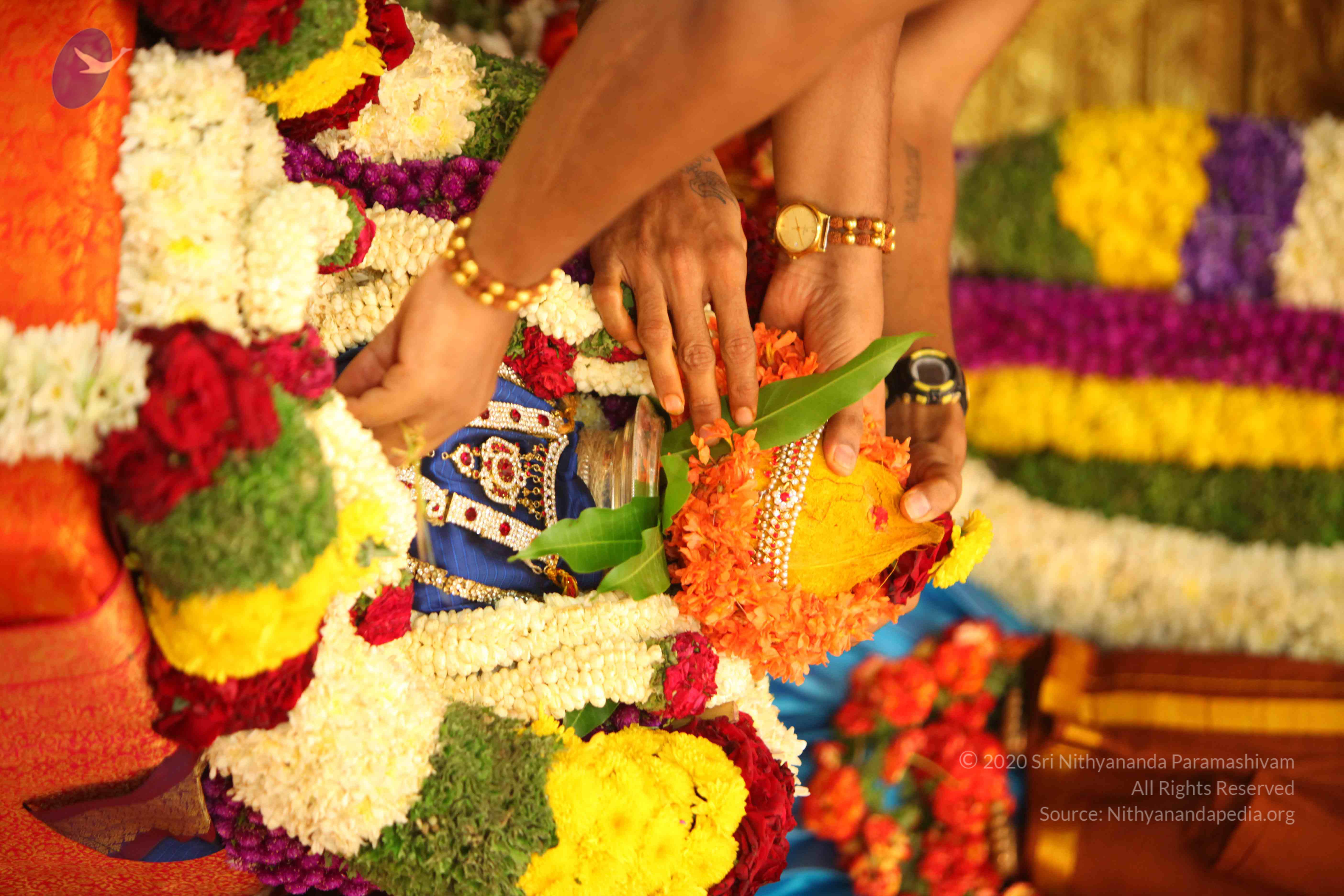 20130525_Photo_1016_IMG_9941_CMP_WM