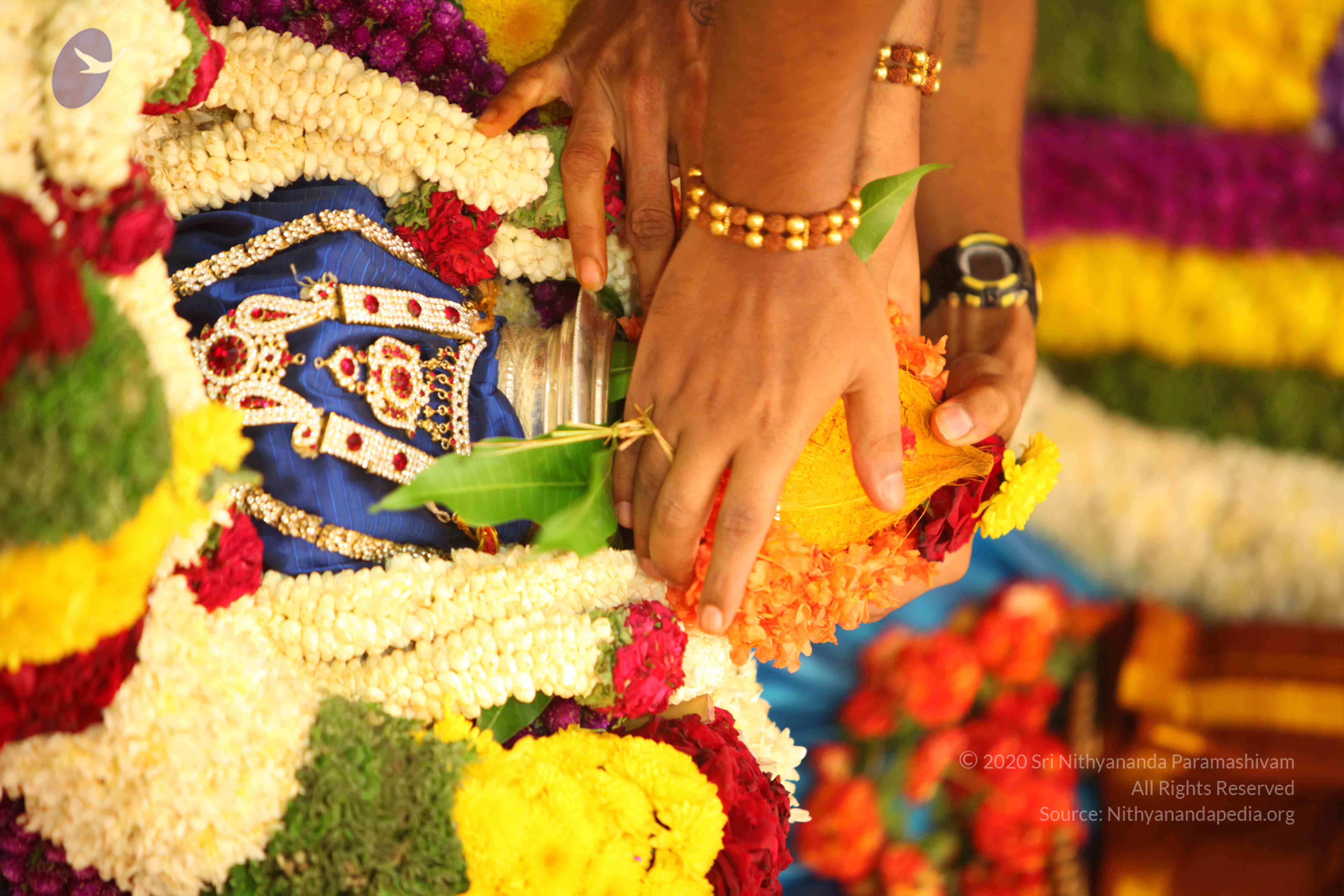 20130525_Photo_1022_IMG_9939_CMP_WM