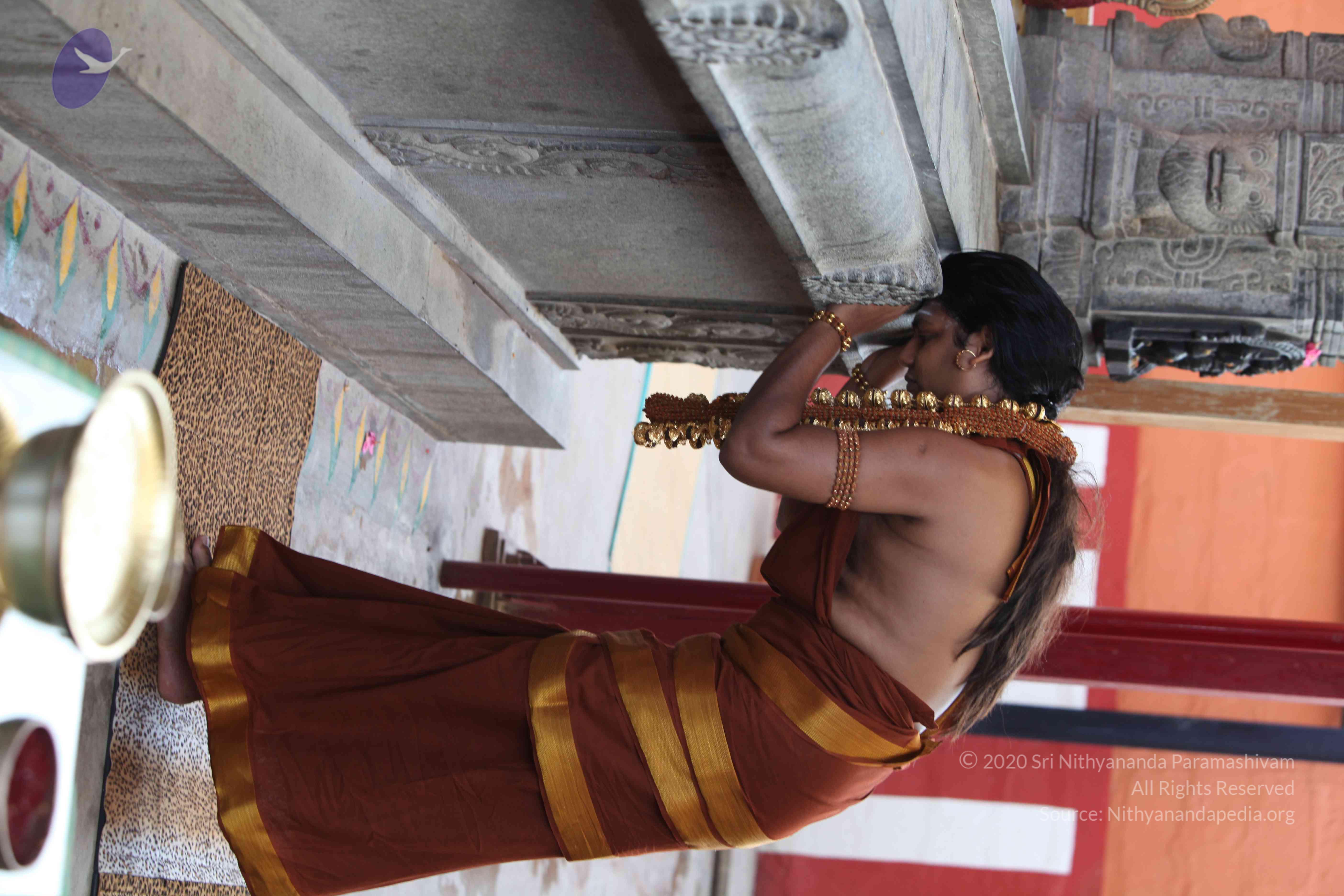 20130525_Photo_1005_IMG_9788_CMP_WM