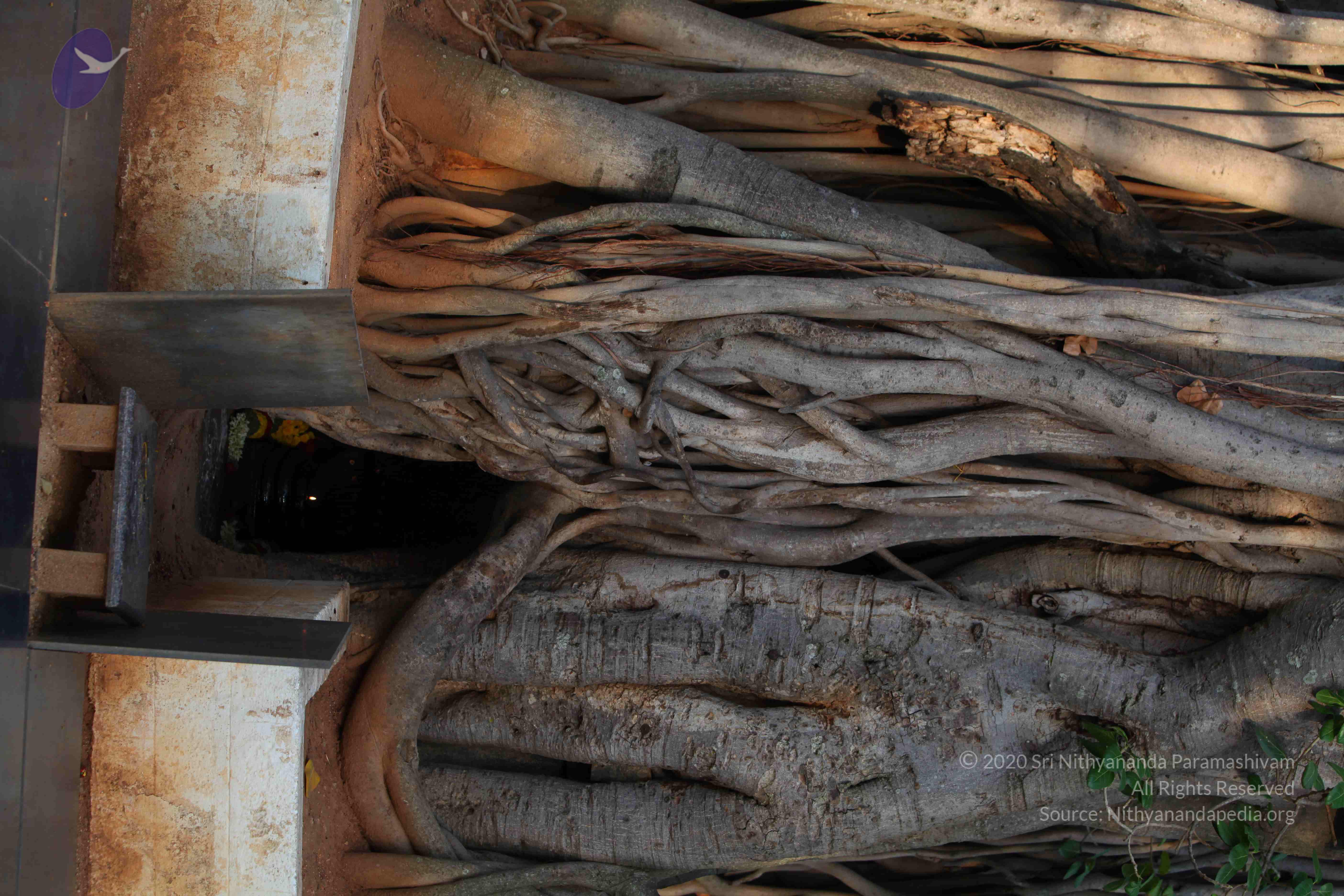 20130525_Photo_1009_IMG_9772_CMP_WM