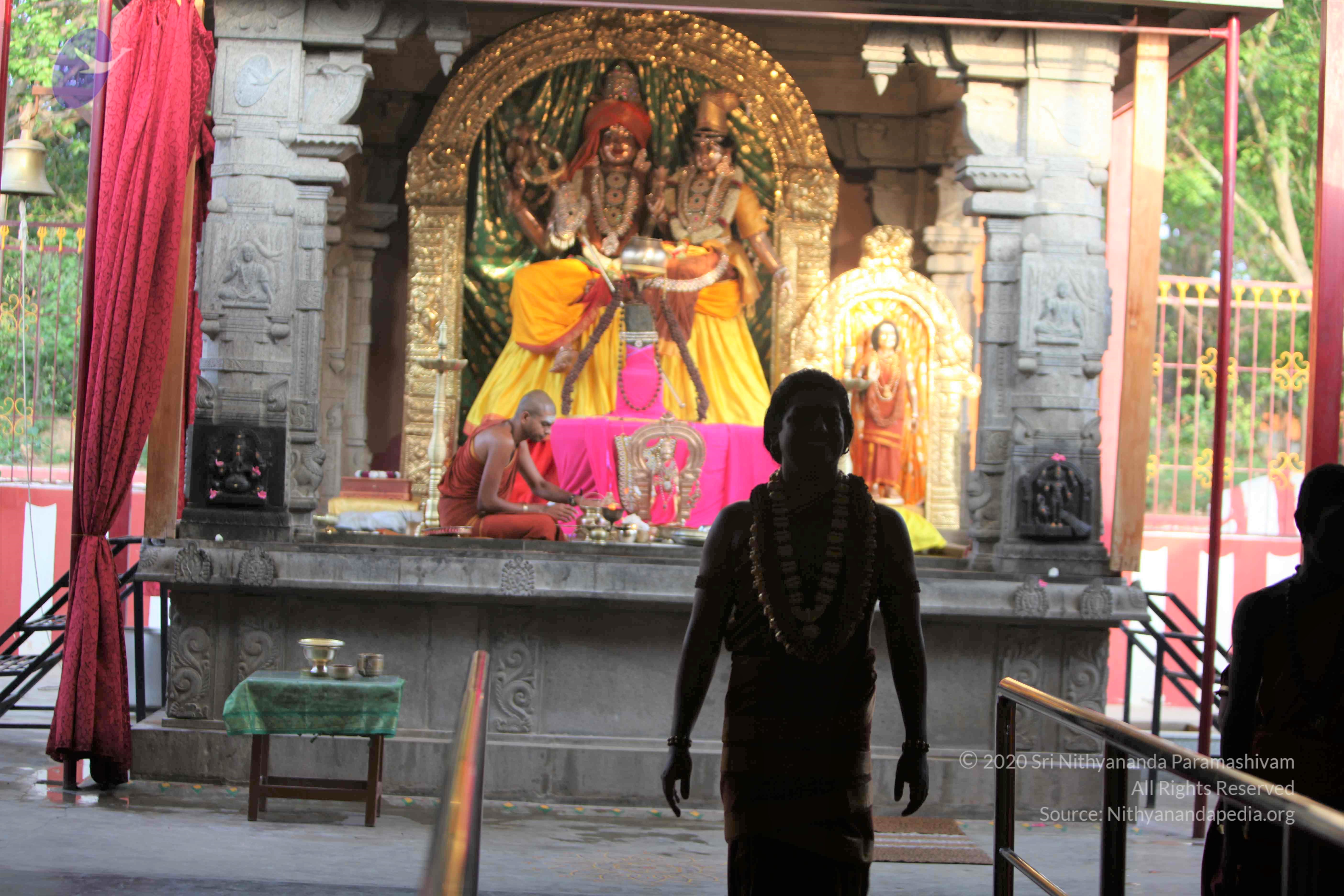 20130525_Photo_1014_IMG_9820_CMP_WM