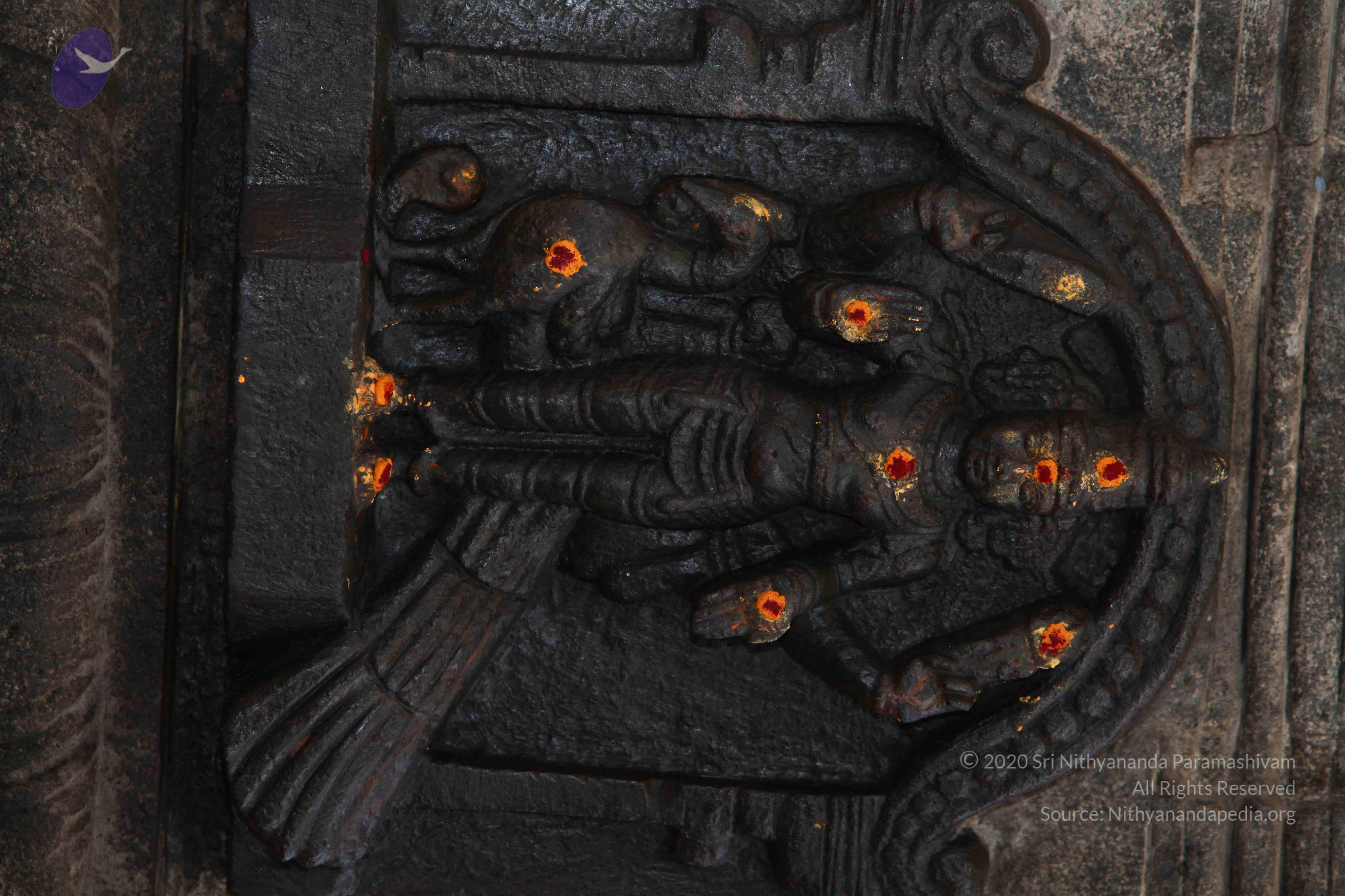 20130525_Photo_1016_IMG_9768_CMP_WM