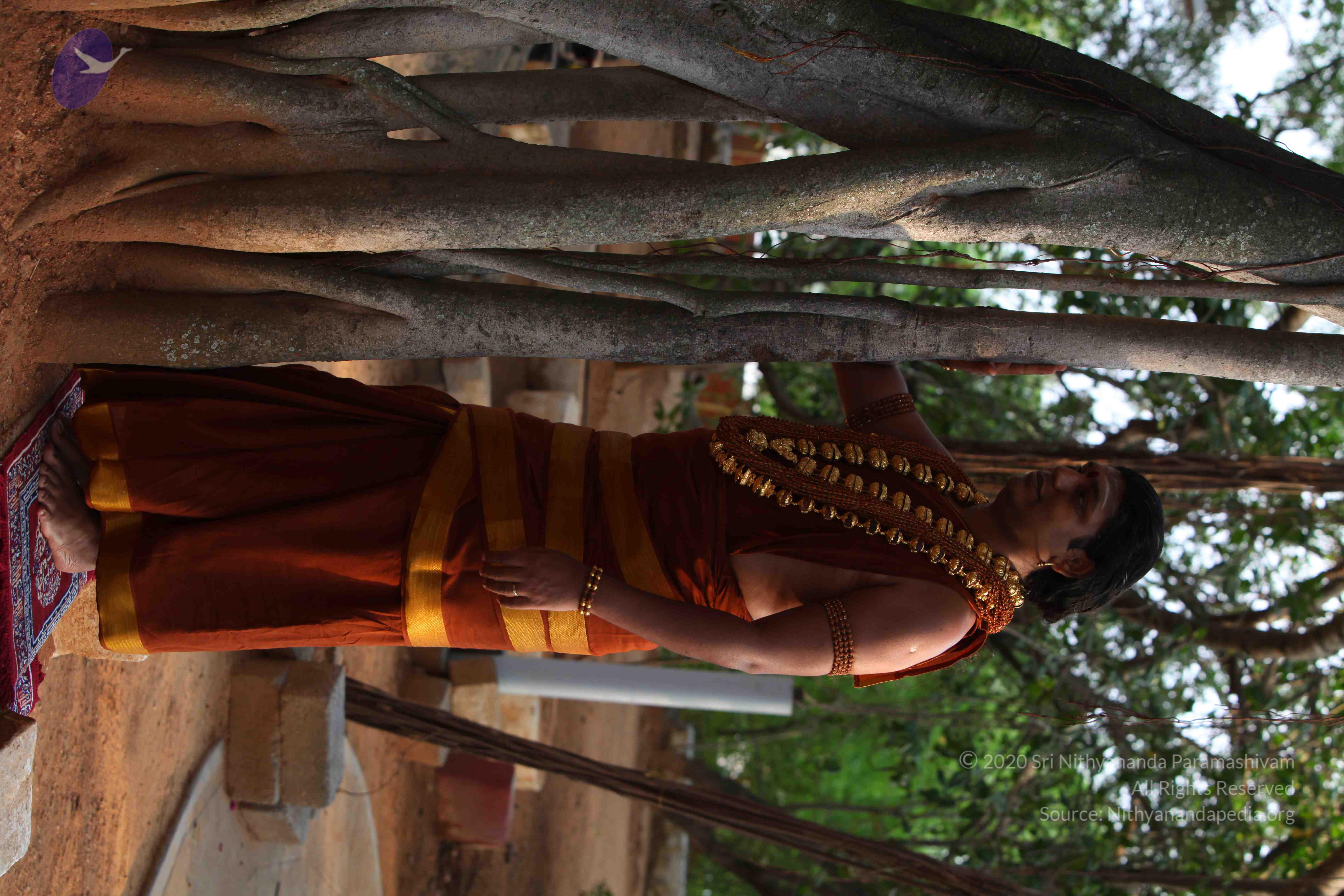 20130525_Photo_1018_IMG_9804_CMP_WM