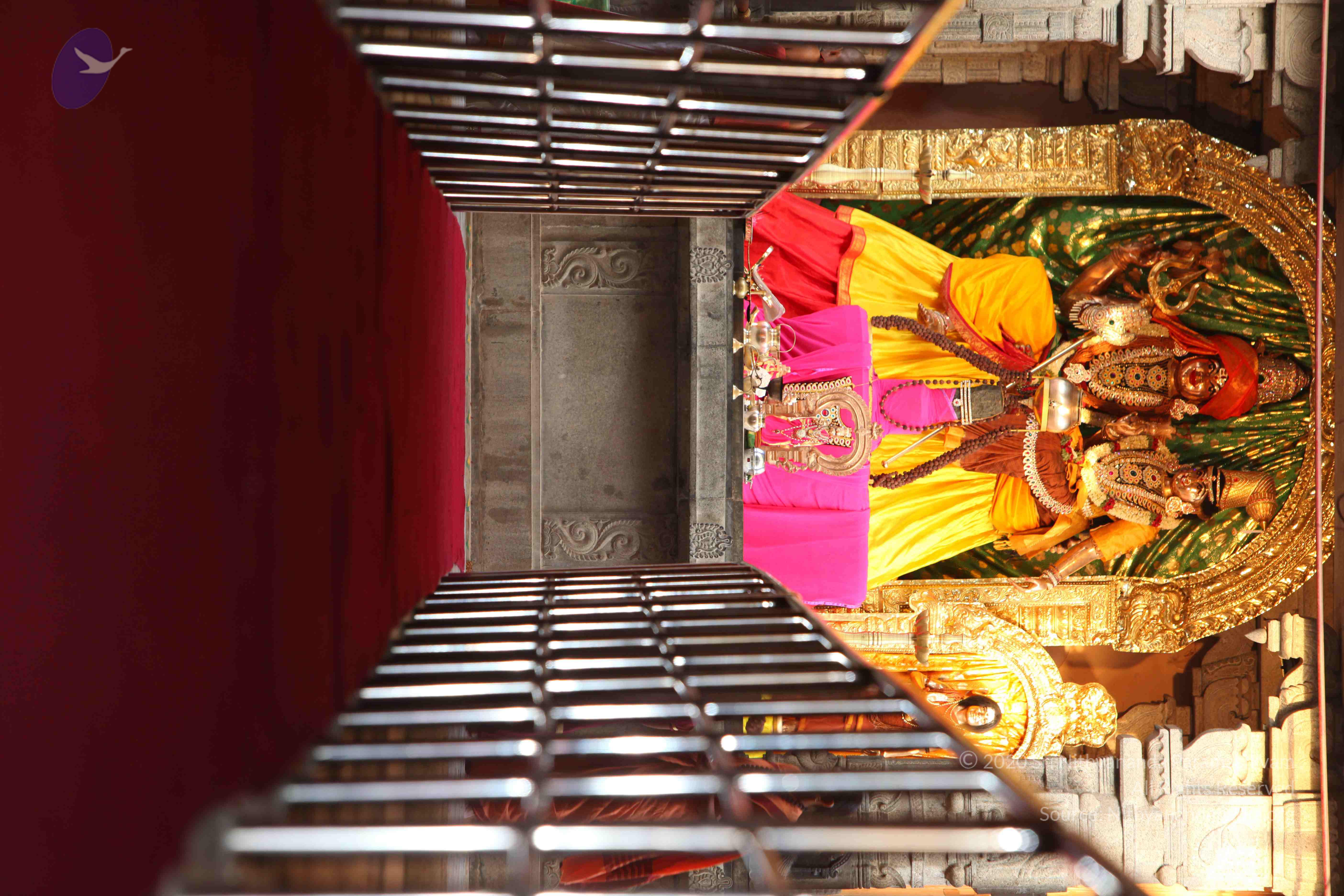 20130525_Photo_1020_IMG_9755_CMP_WM