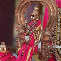 20130525_Photo_1023_IMG_9773_CMP_WM