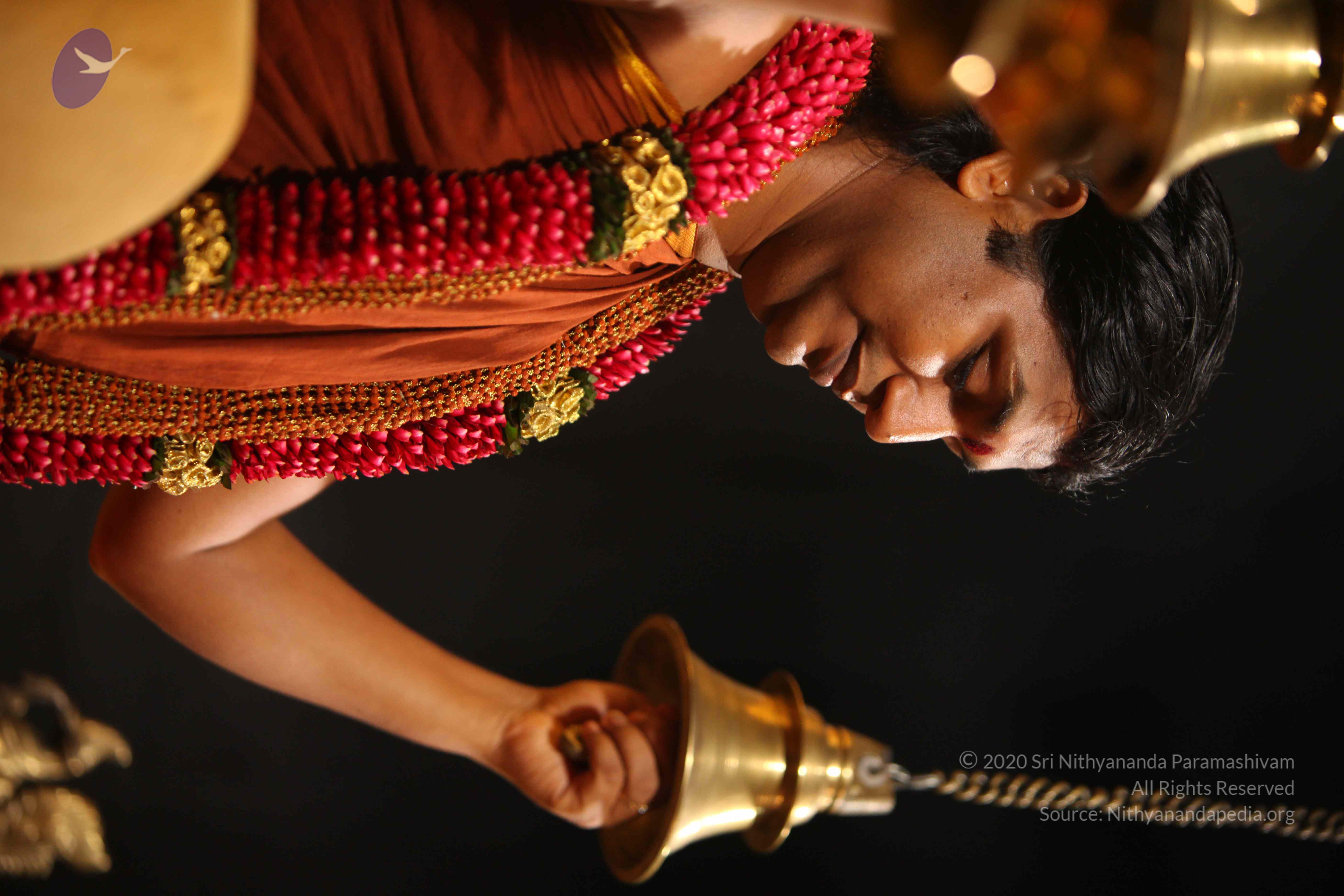 20130525_Photo_1003_IMG_0283_CMP_WM